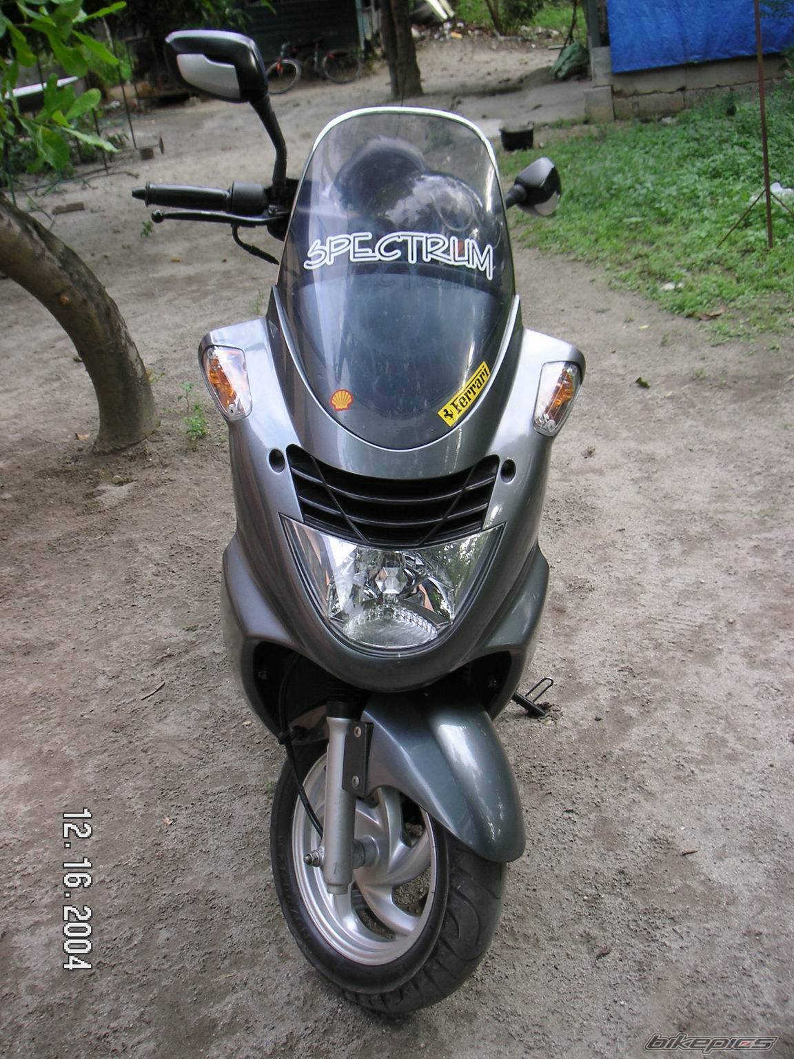 Photo 261597