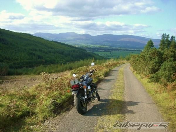 Photo 2616094