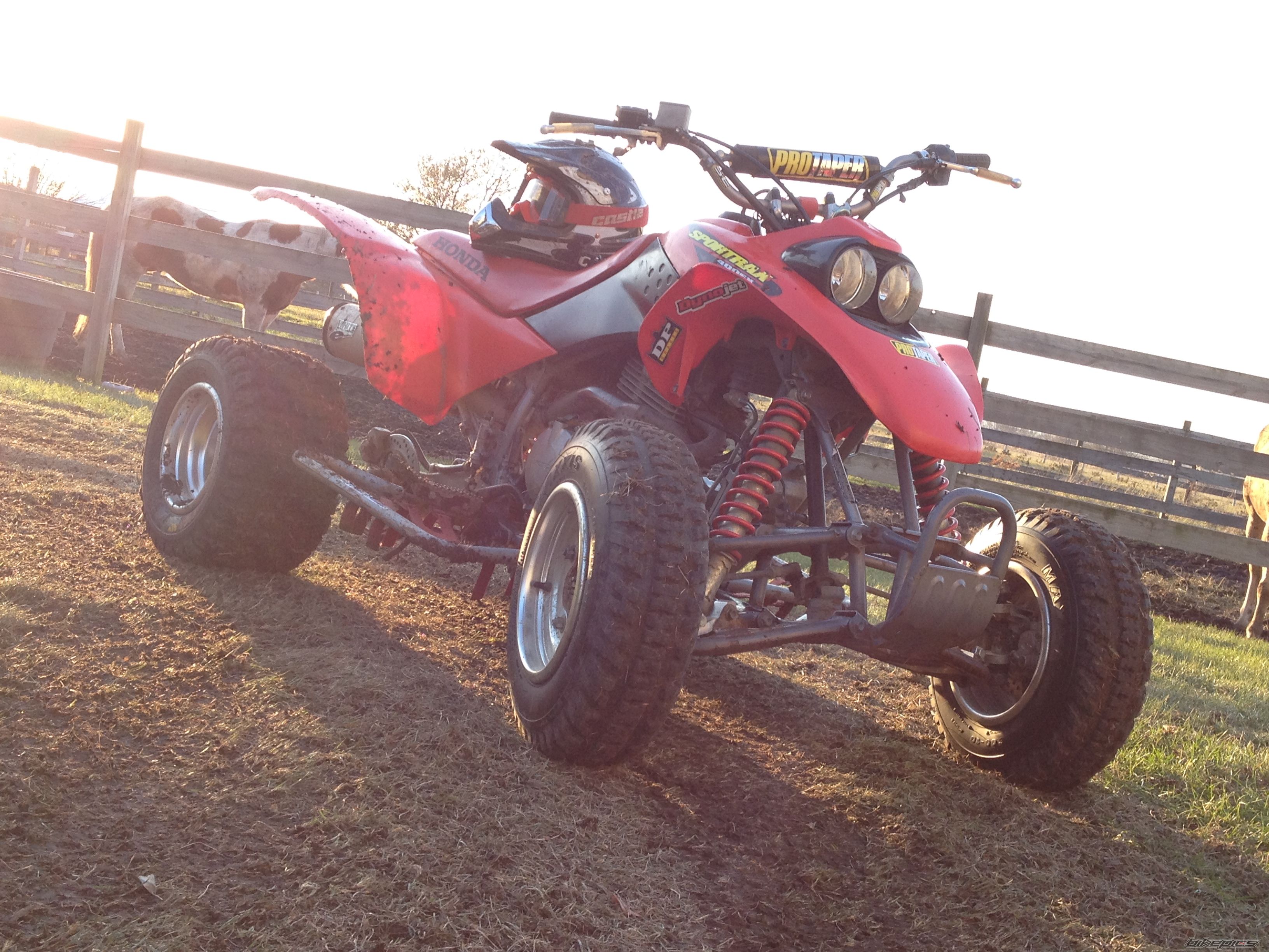 Photo 2616210
