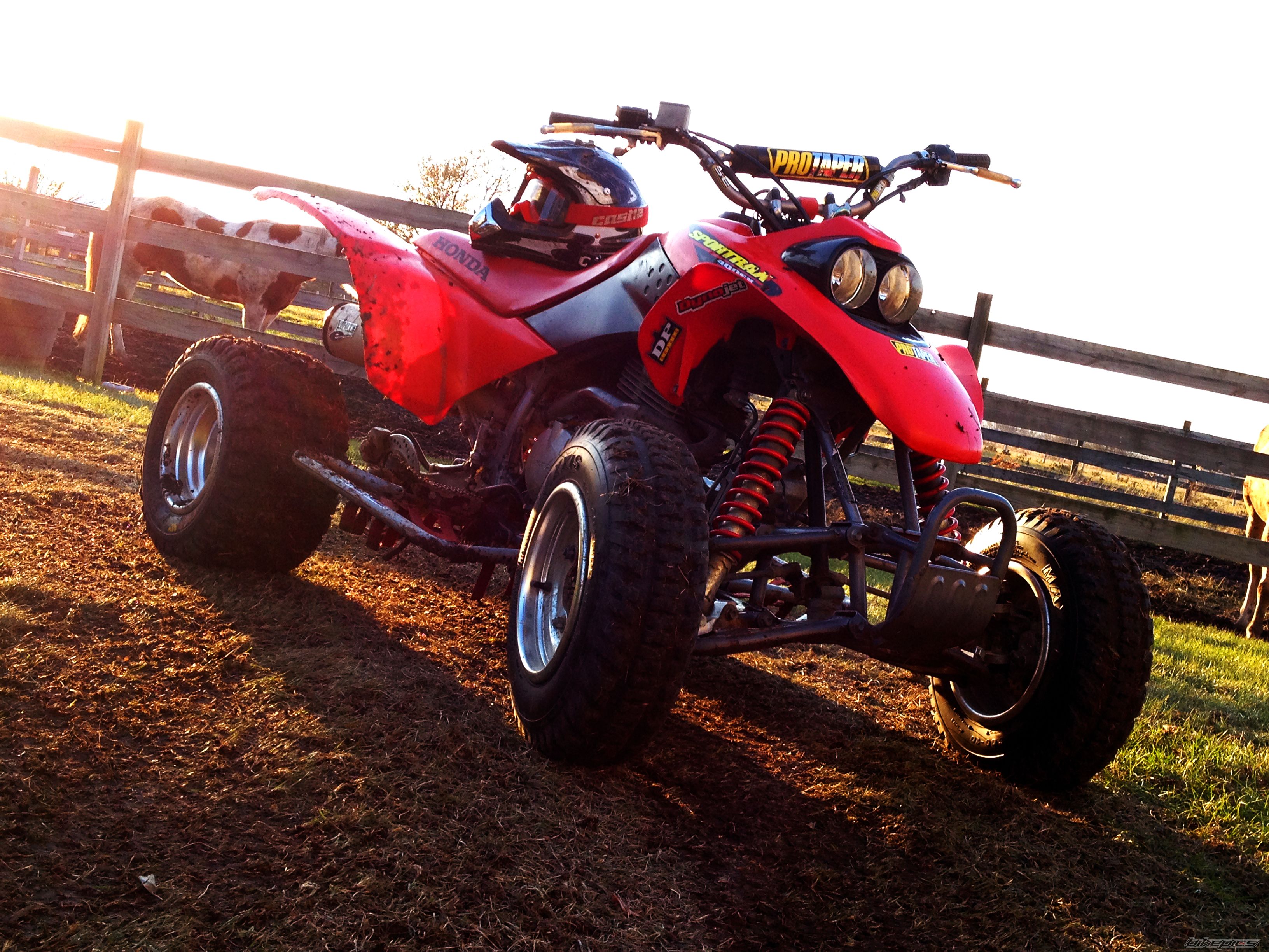 Photo 2616224