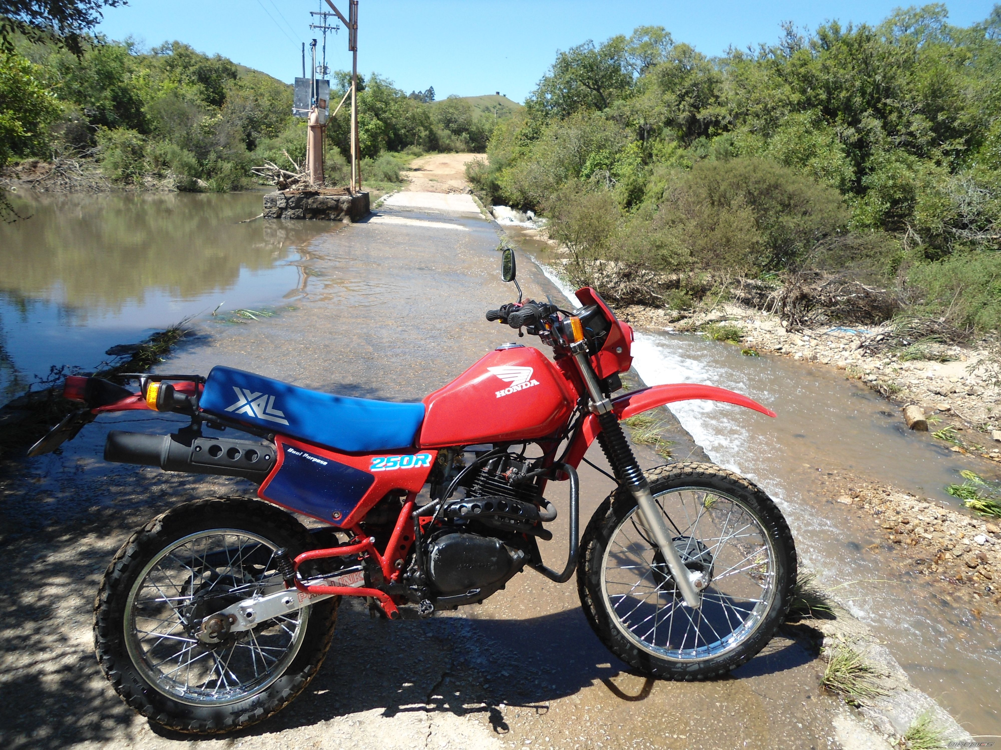 Photo 2616255