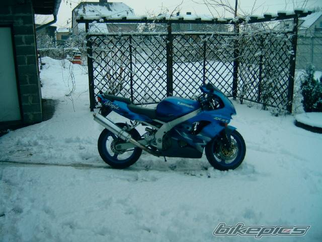 Photo 261627