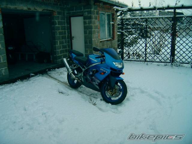 Photo 261628
