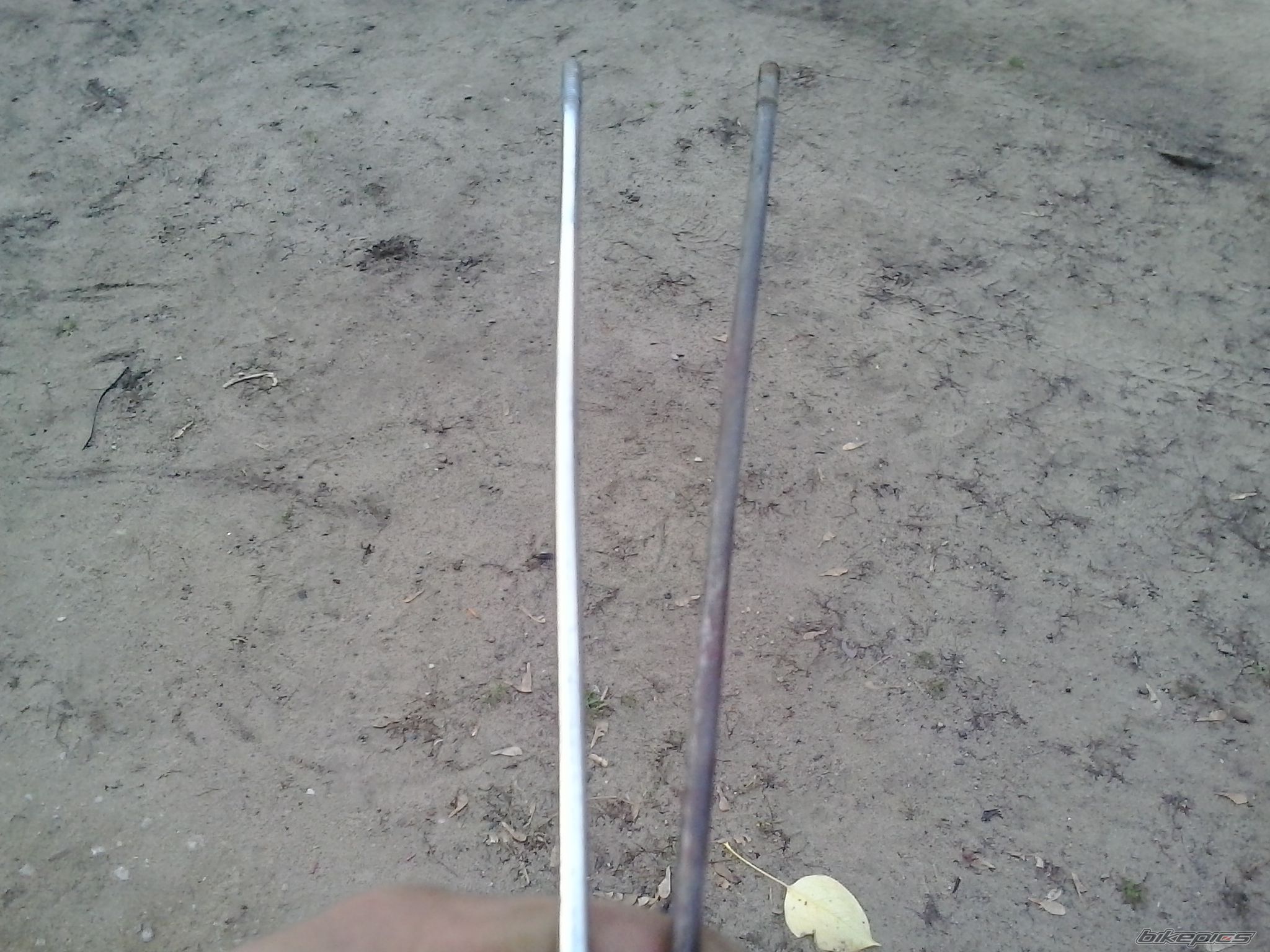 Photo 2616282