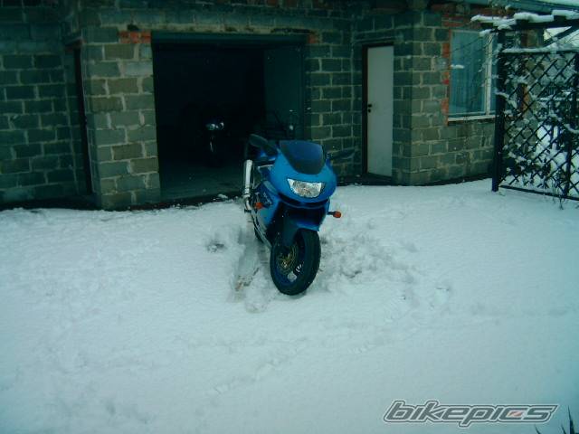 Photo 261629
