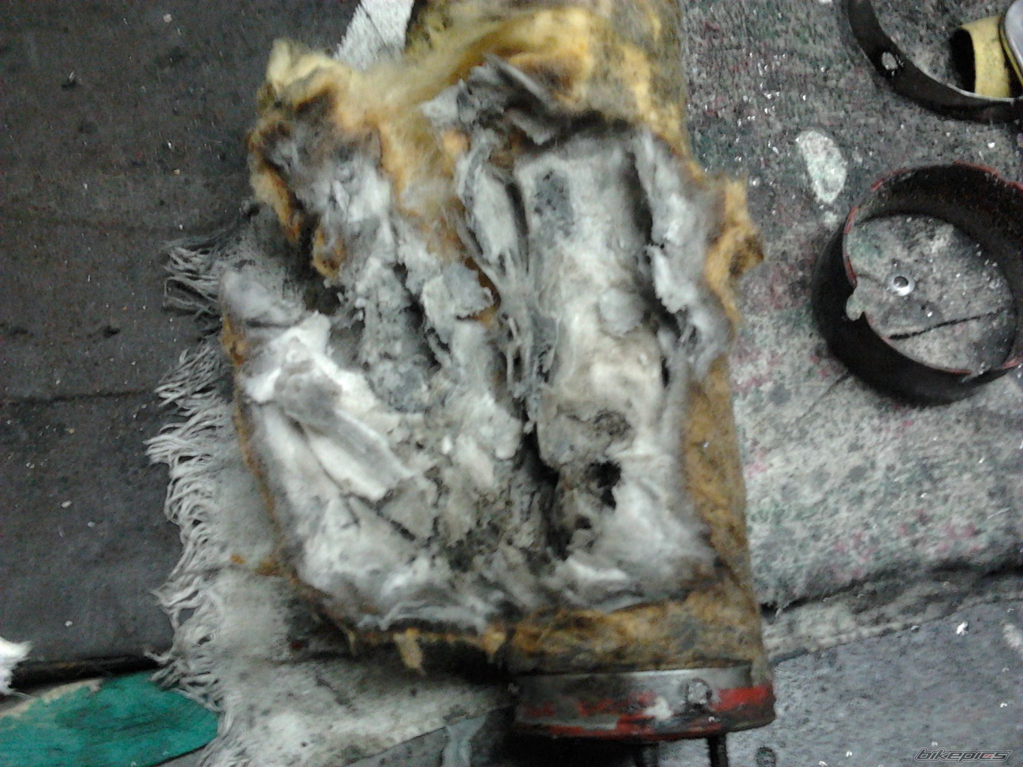 Photo 2616294