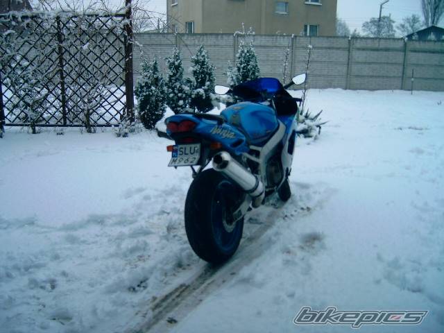 Photo 261630