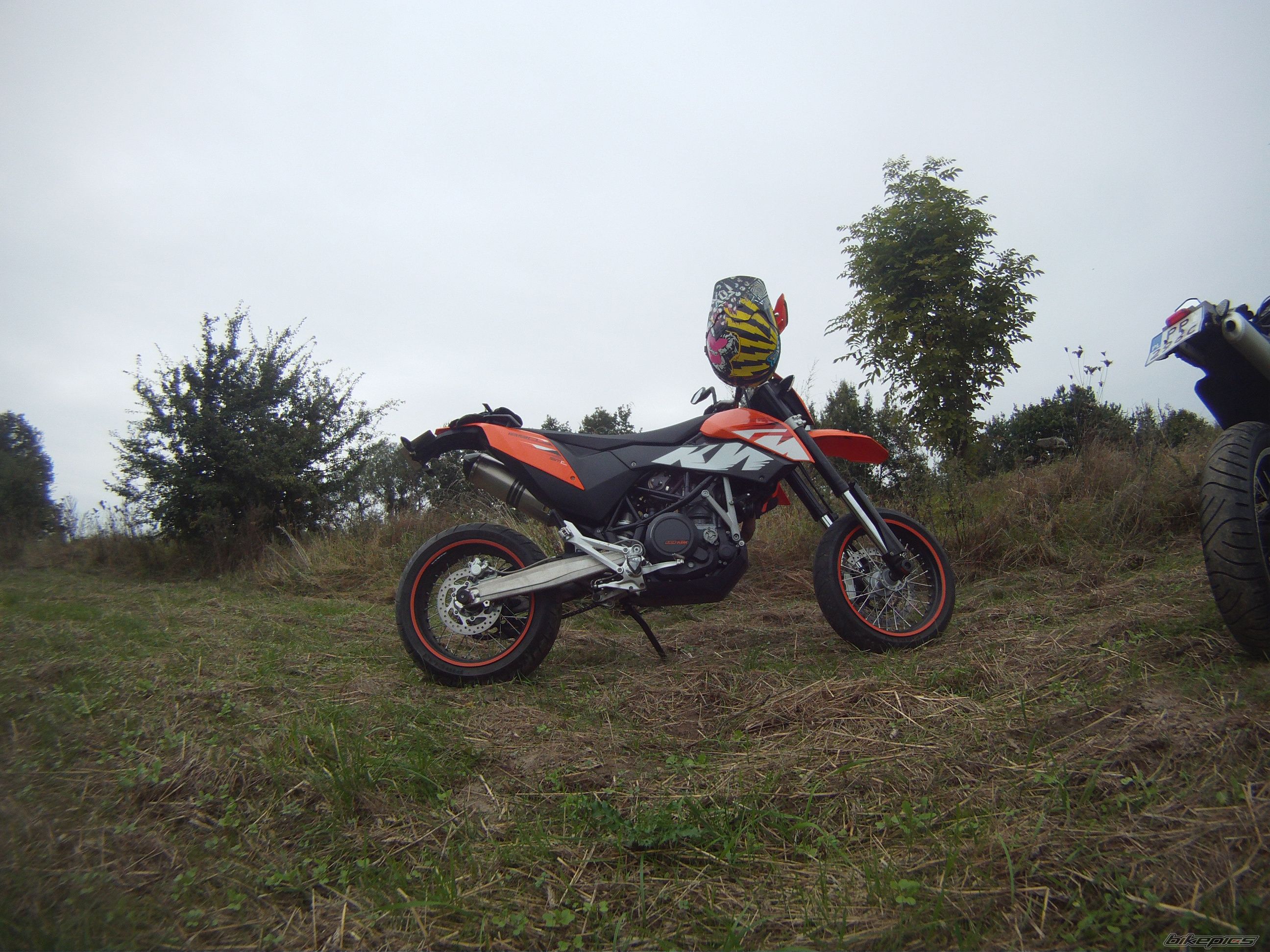 Photo 2616361
