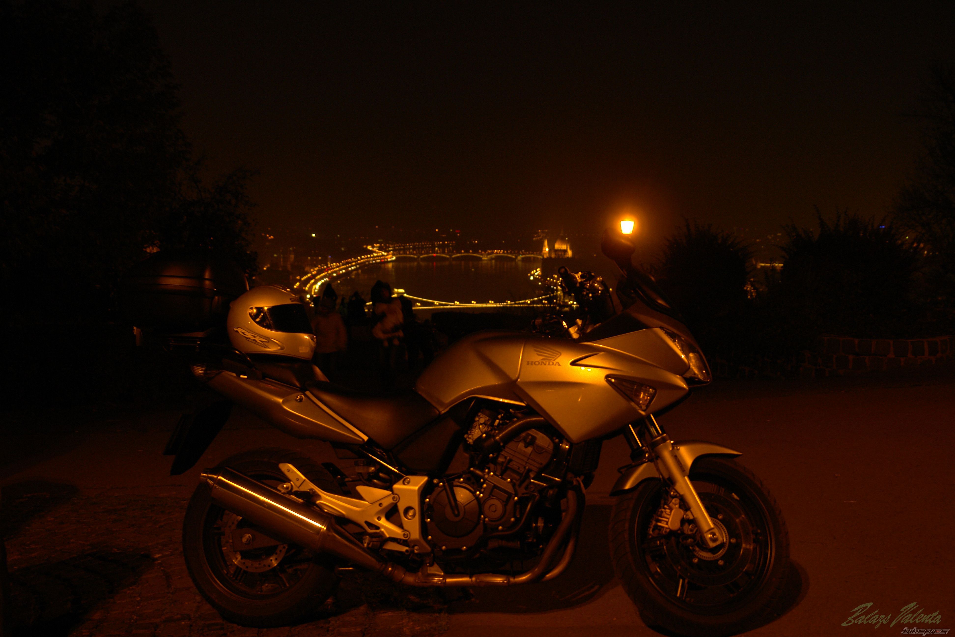 Photo 2616383