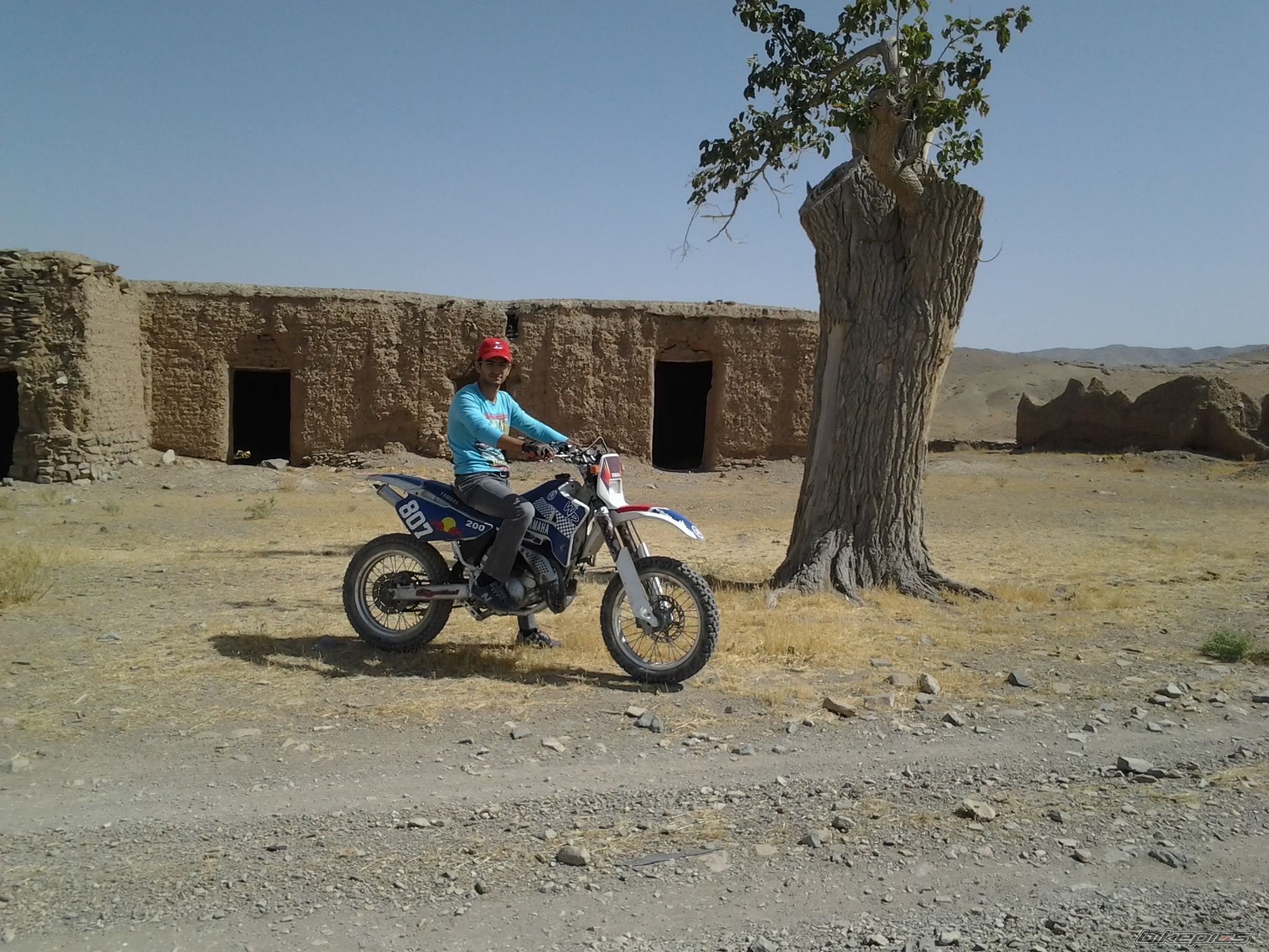 Photo 2616437