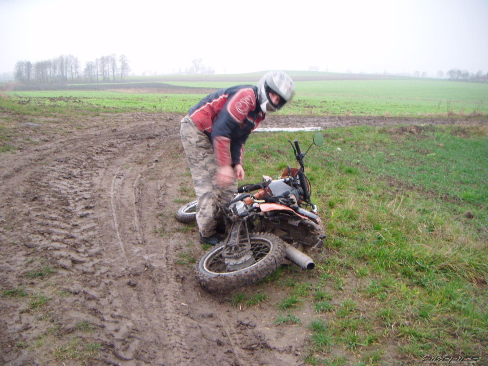 Photo 2616534
