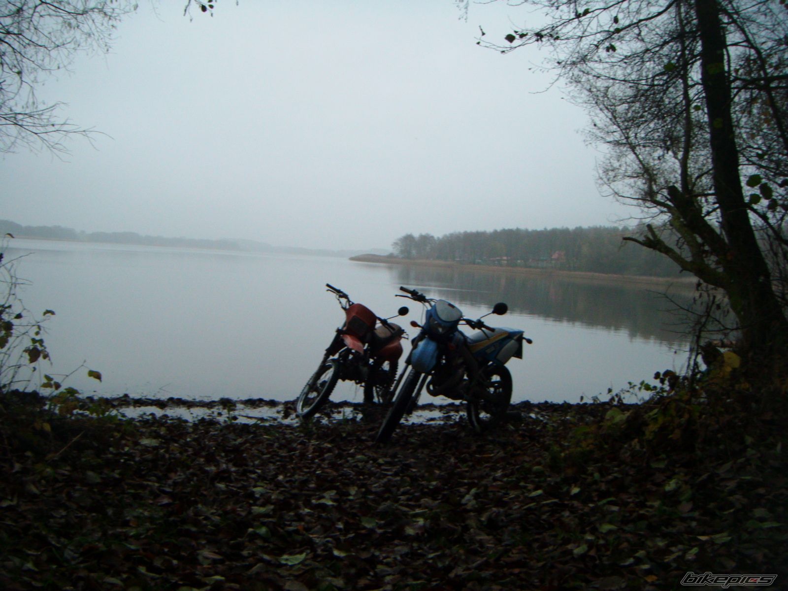 Photo 2616539