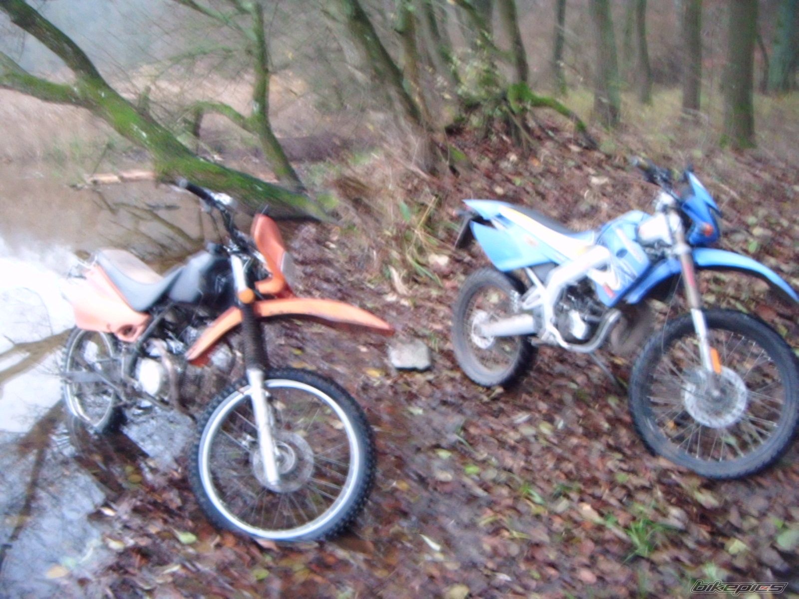 Photo 2616542