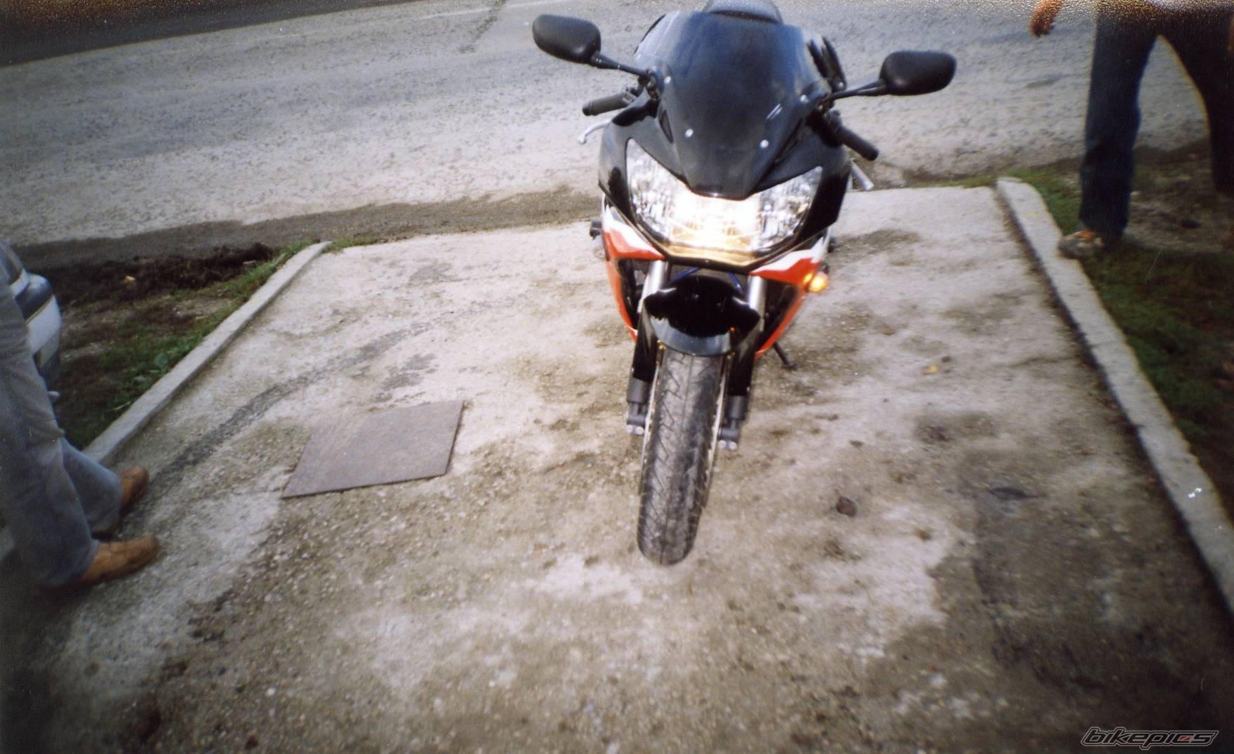 Photo 261656