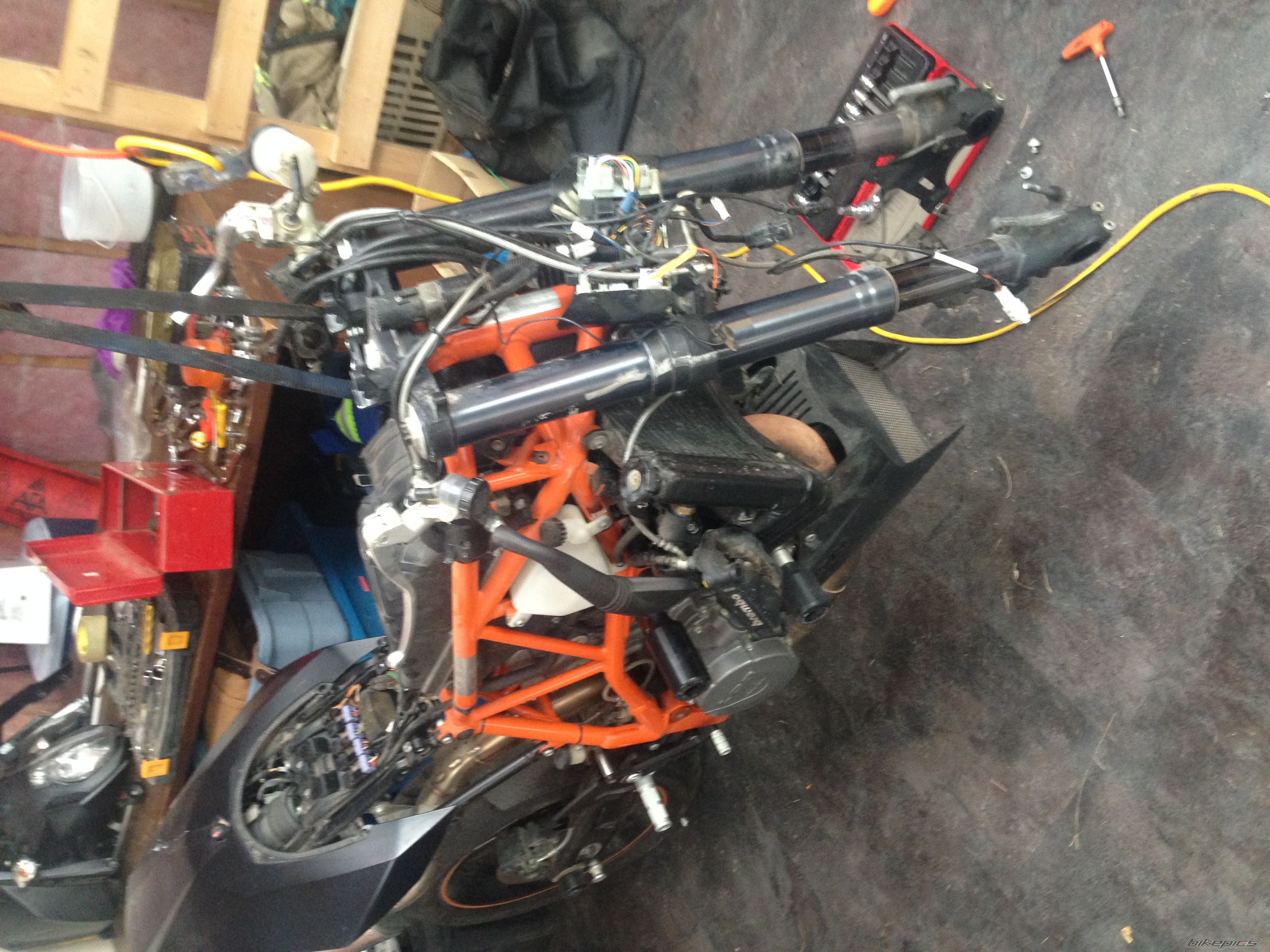 Photo 2616573