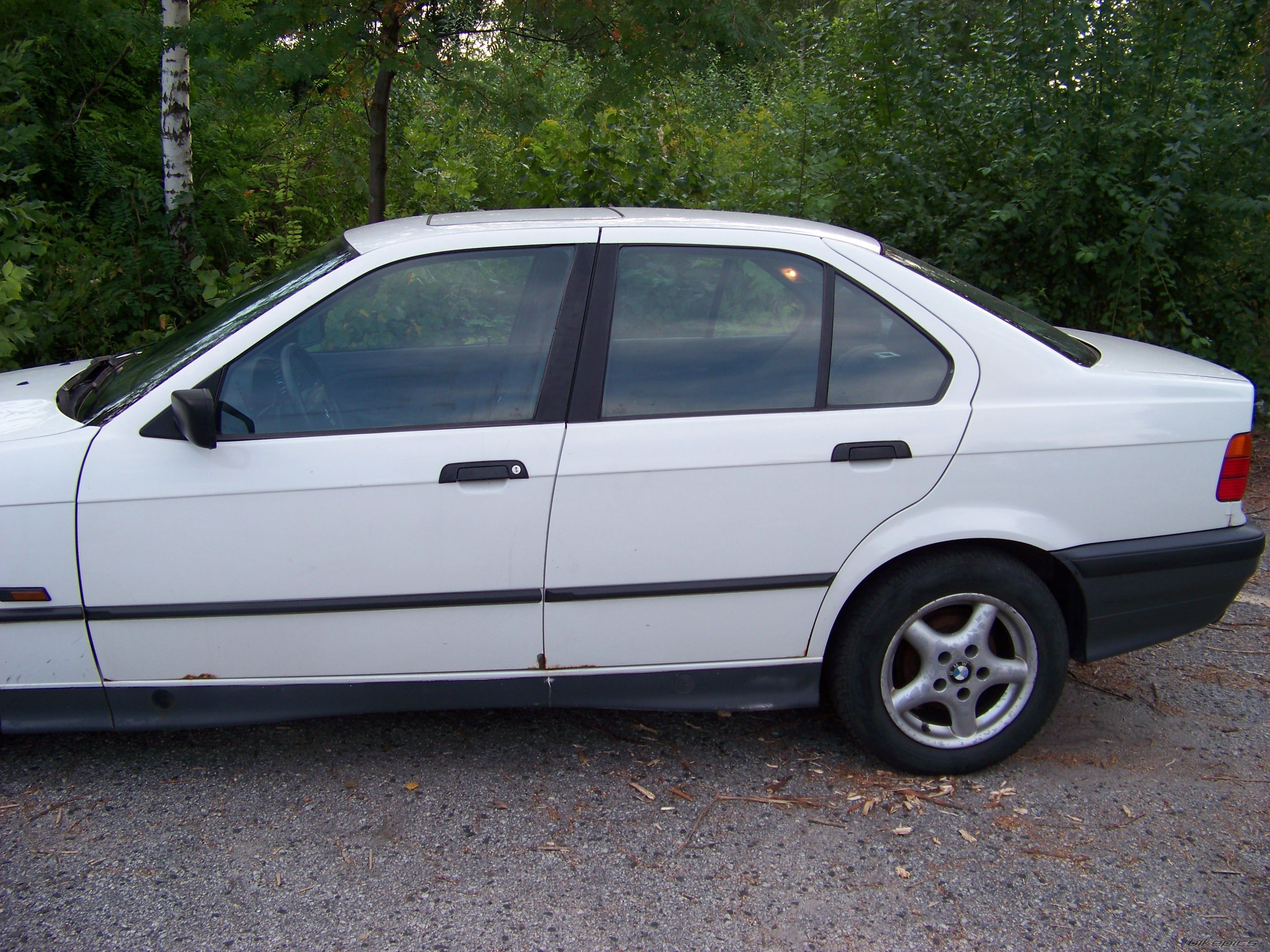 Photo 2616592