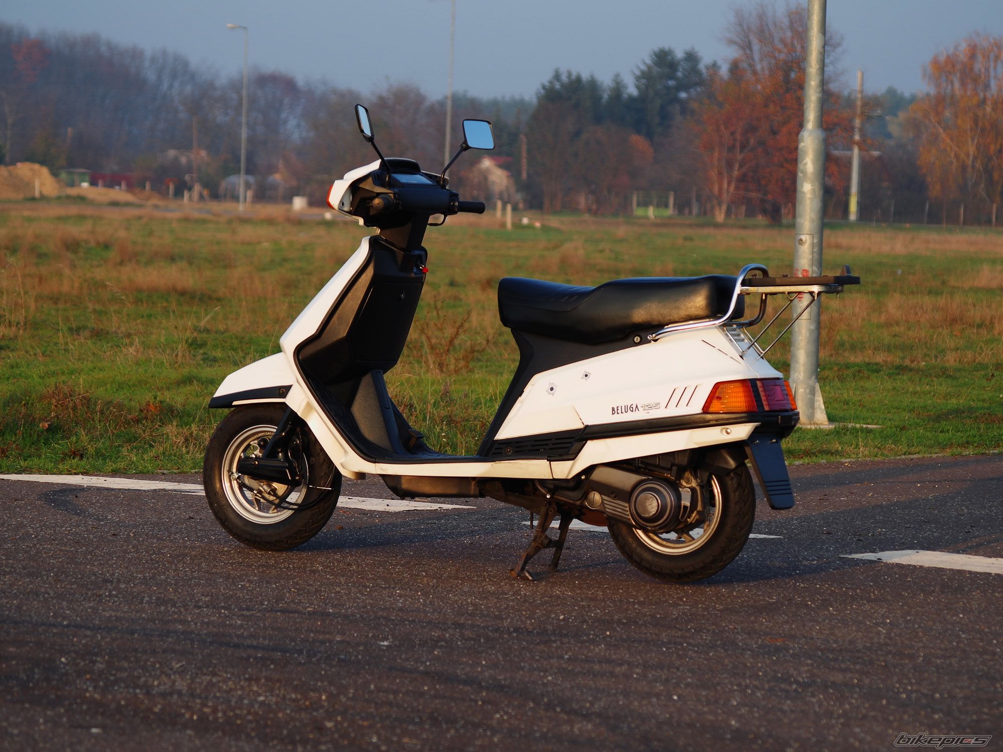 Photo 2616632
