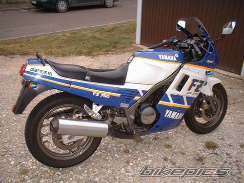 Photo 261674