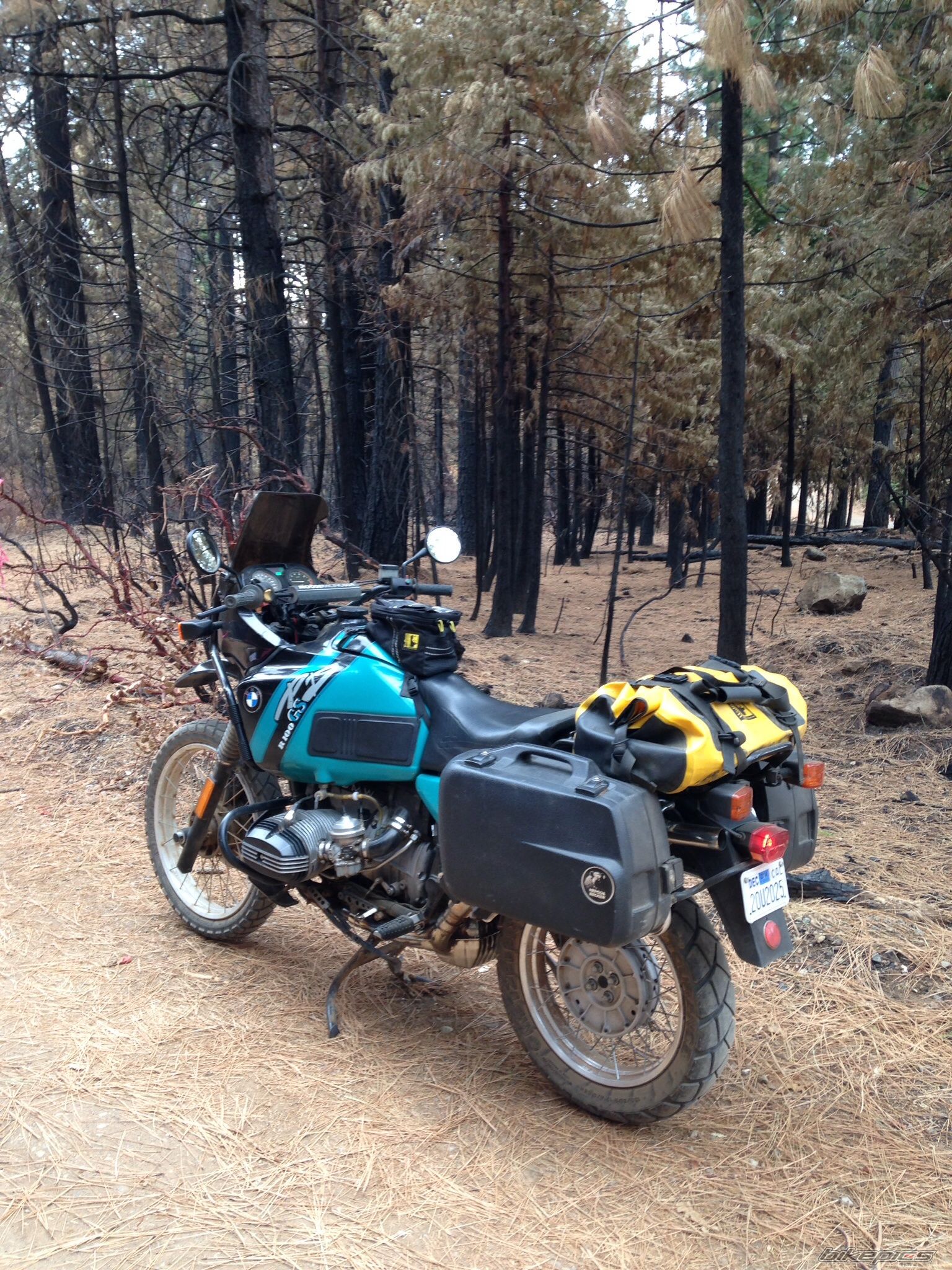 Photo 2616753