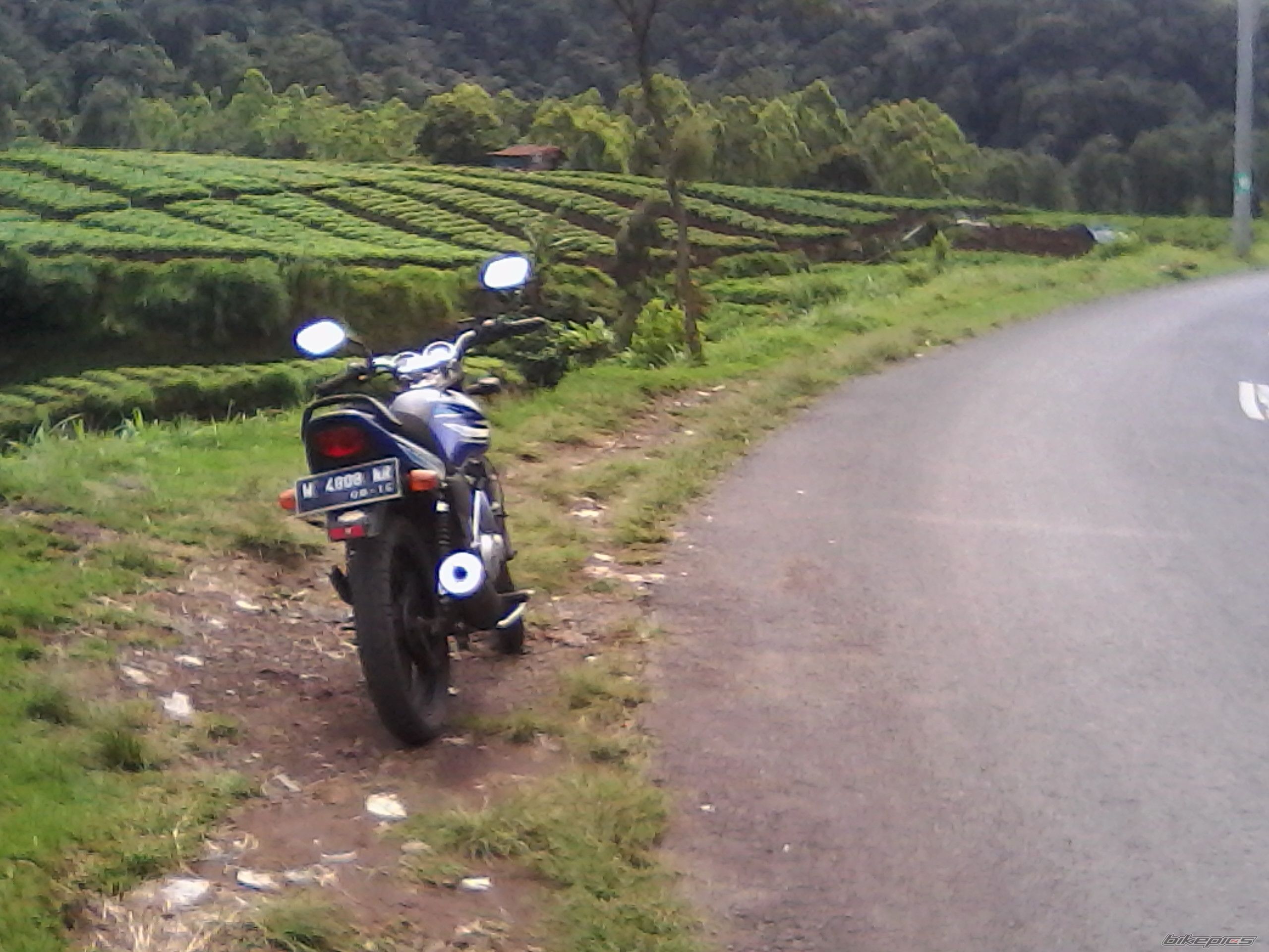 Photo 2616763
