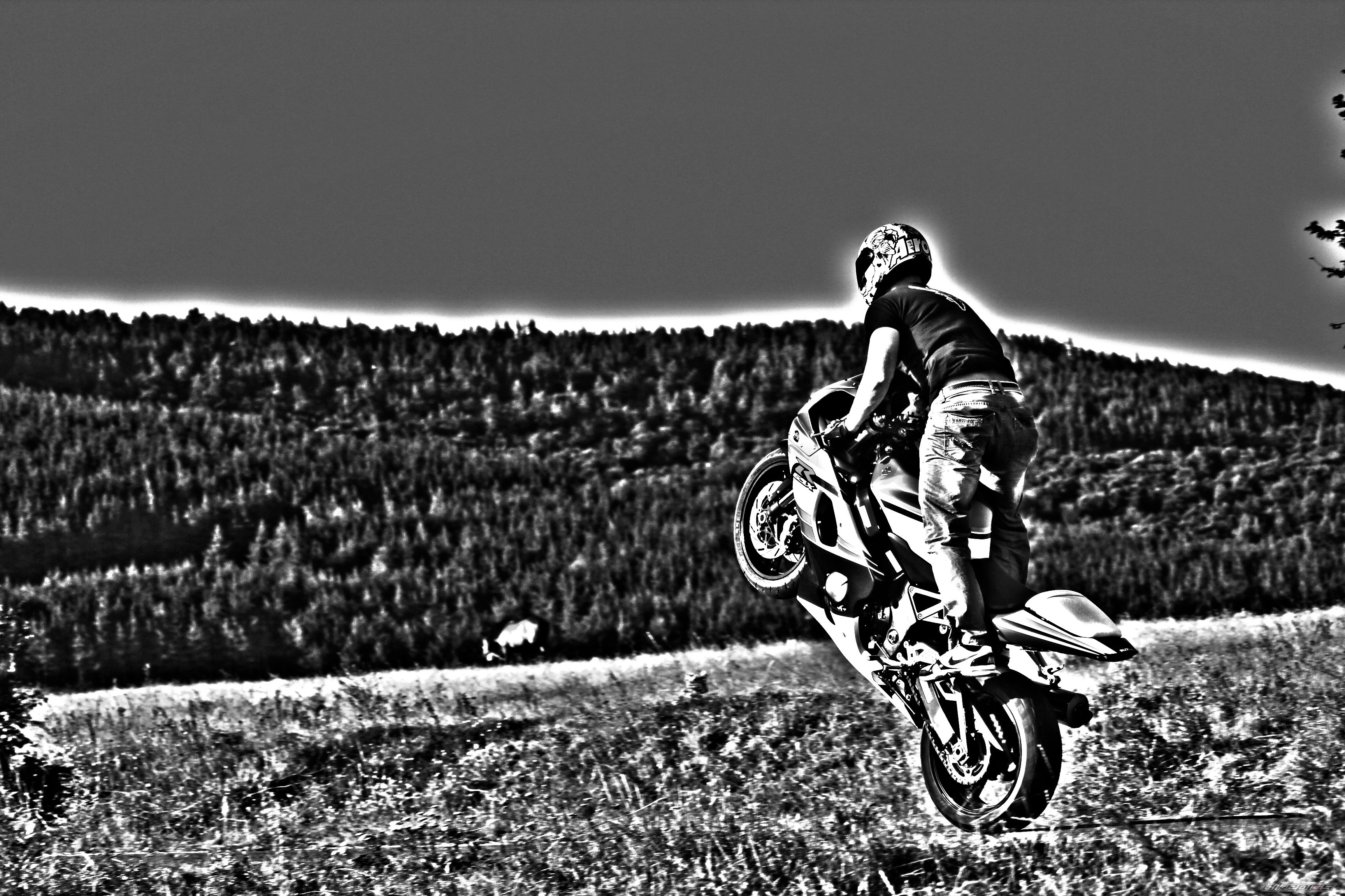 Photo 2616784