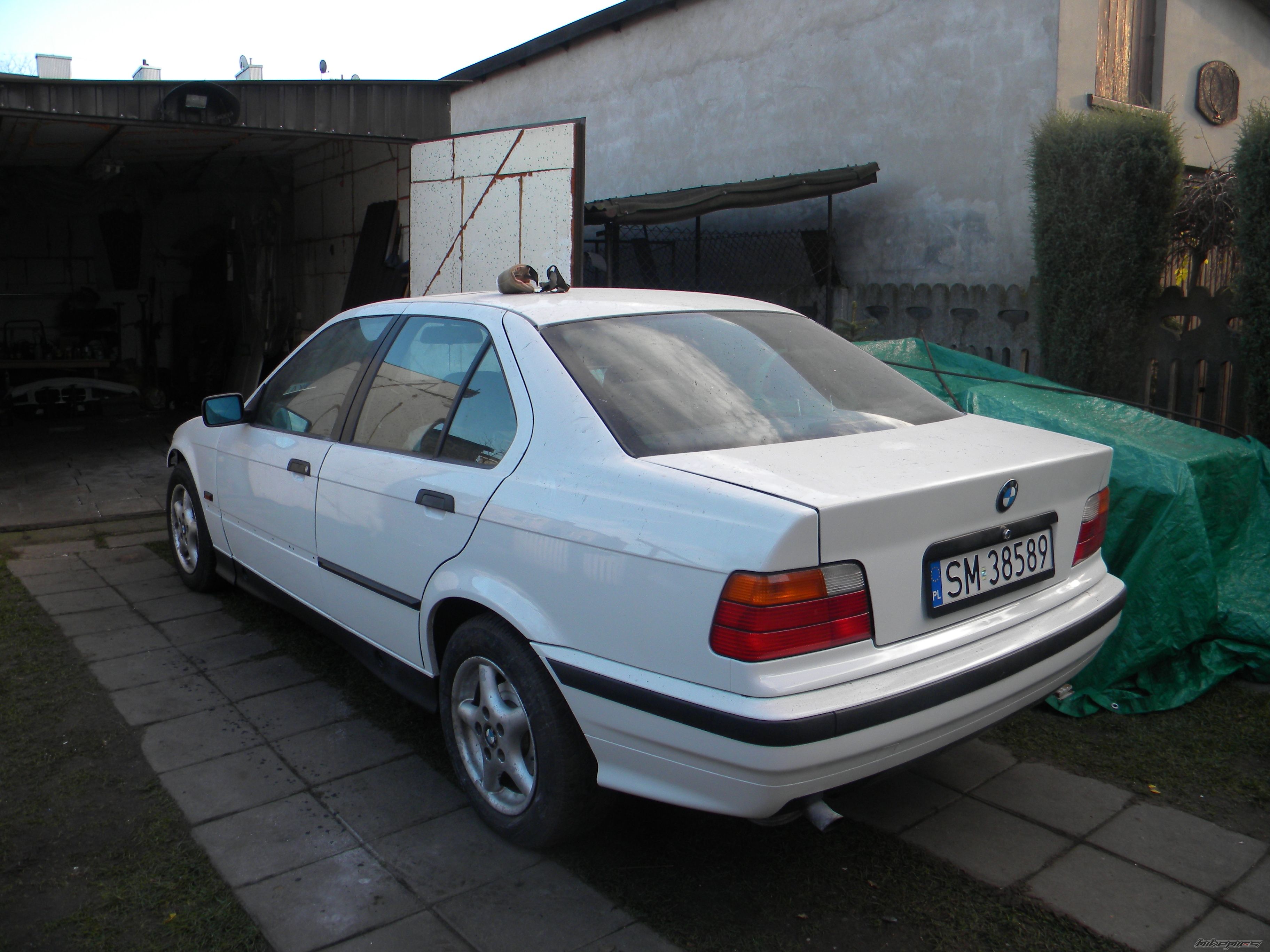 Photo 2616848