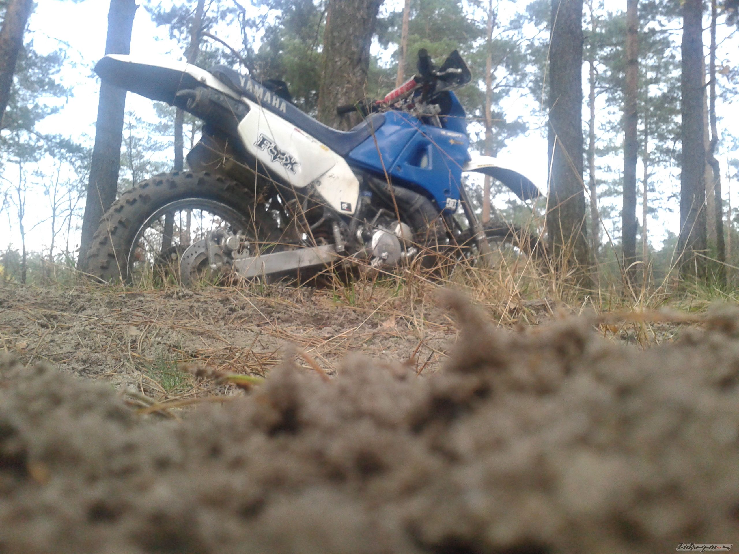 Photo 2616907