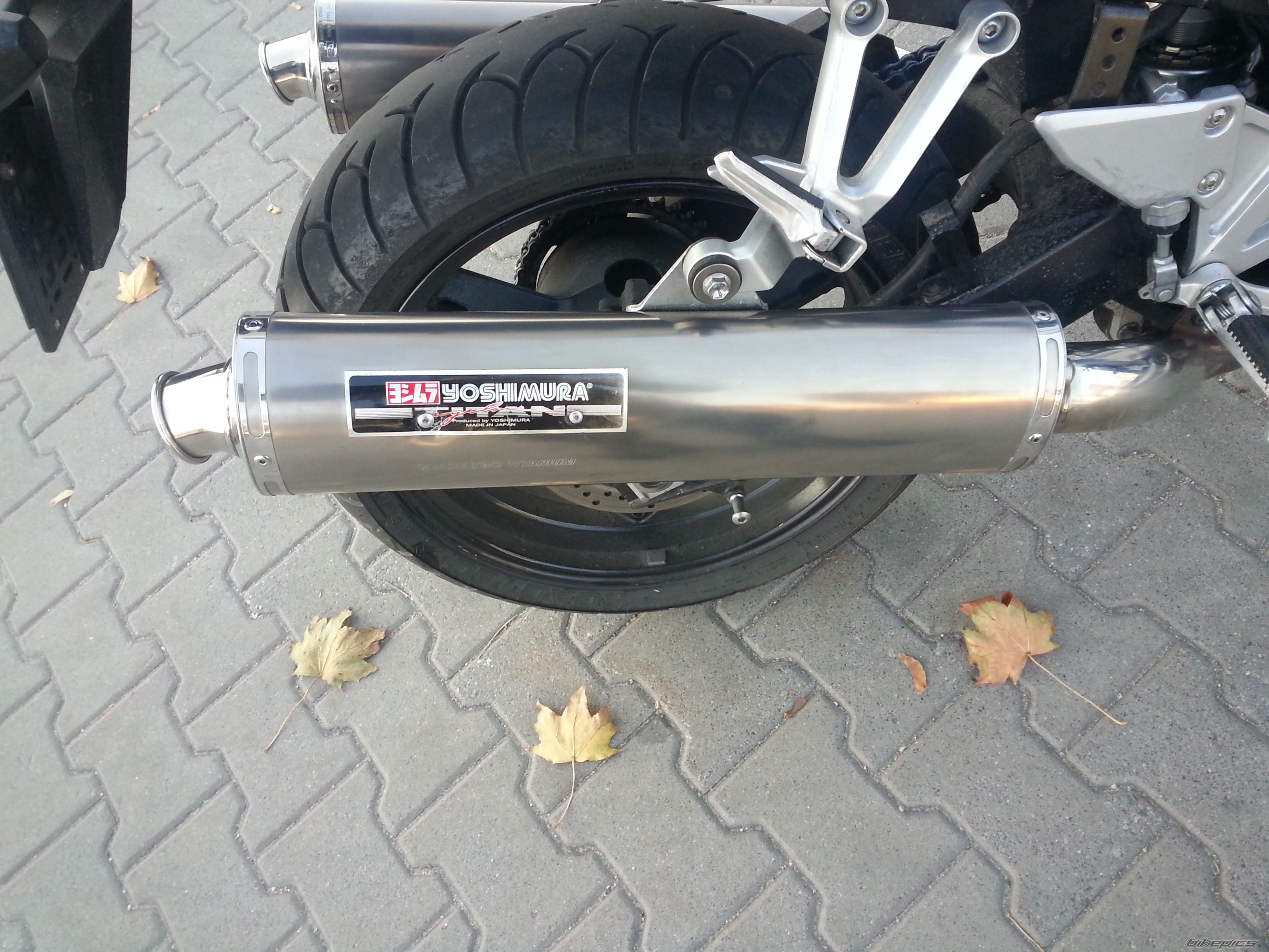 Photo 2616923