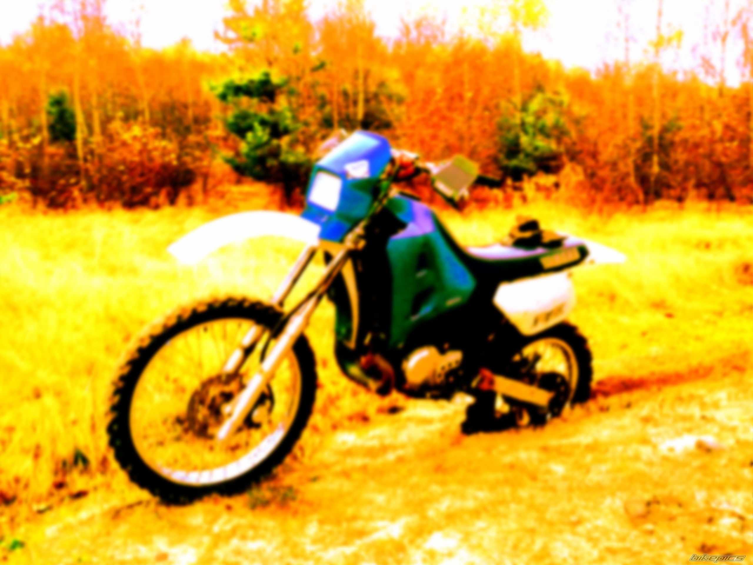 Photo 2616927