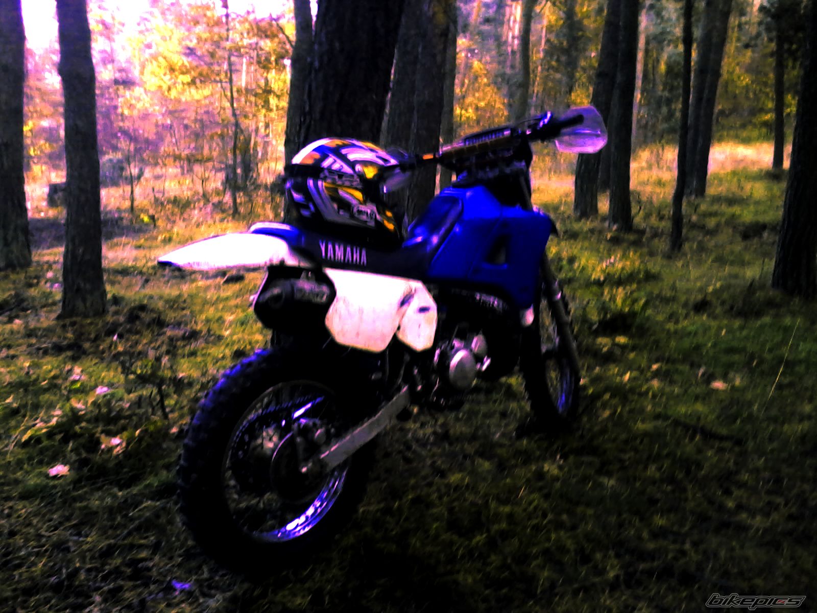 Photo 2616929