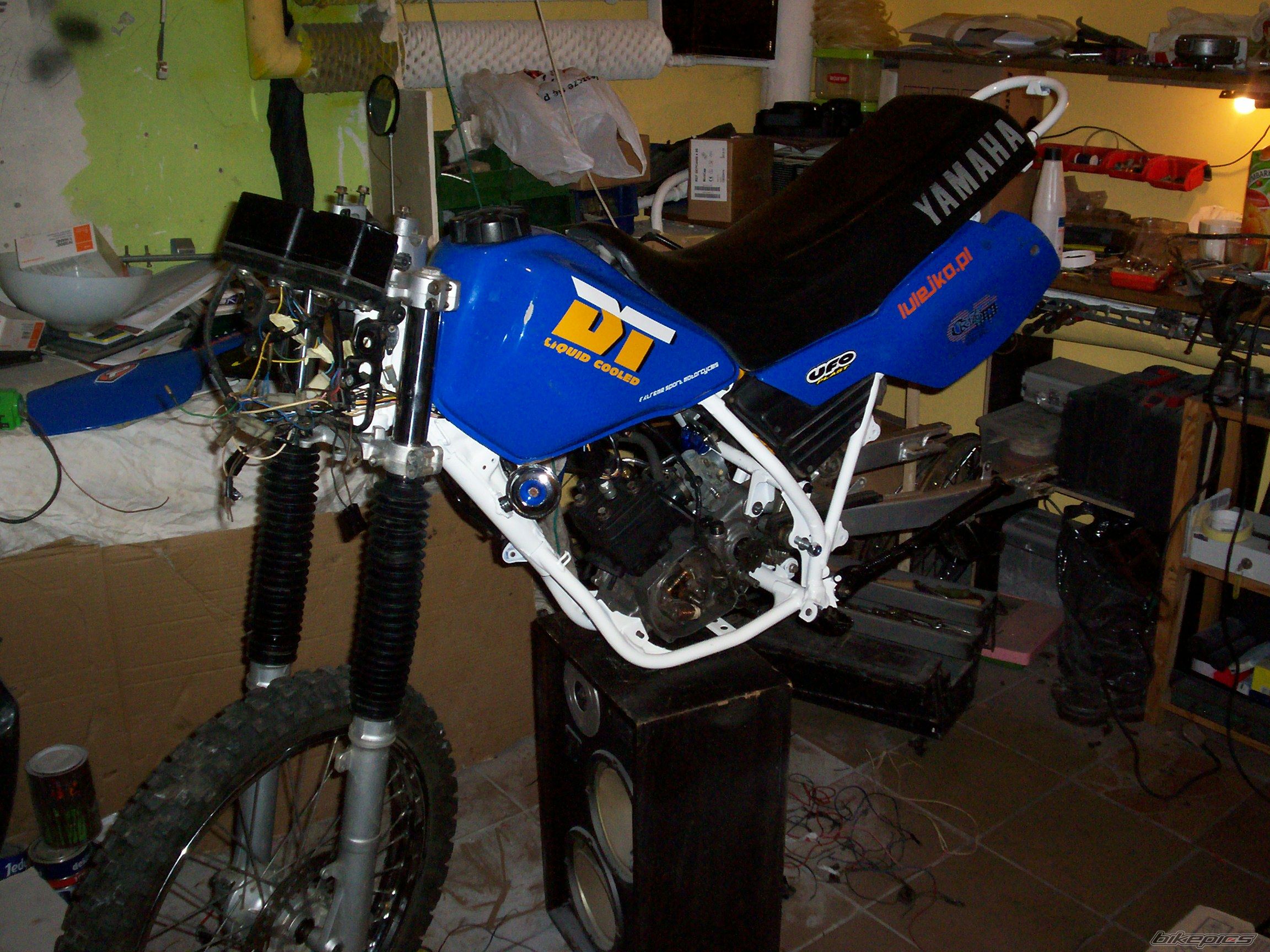 Photo 2616930