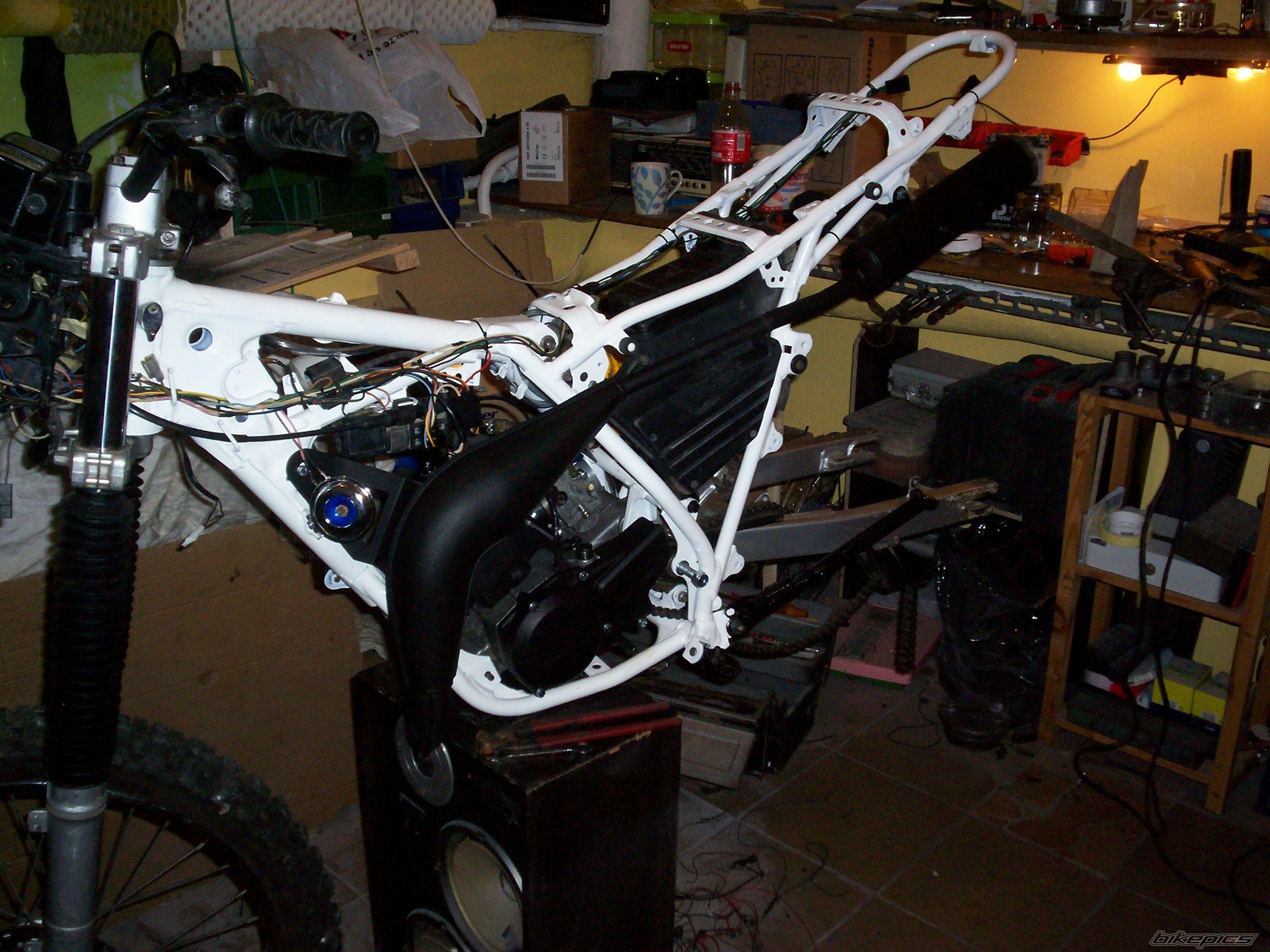Photo 2616934