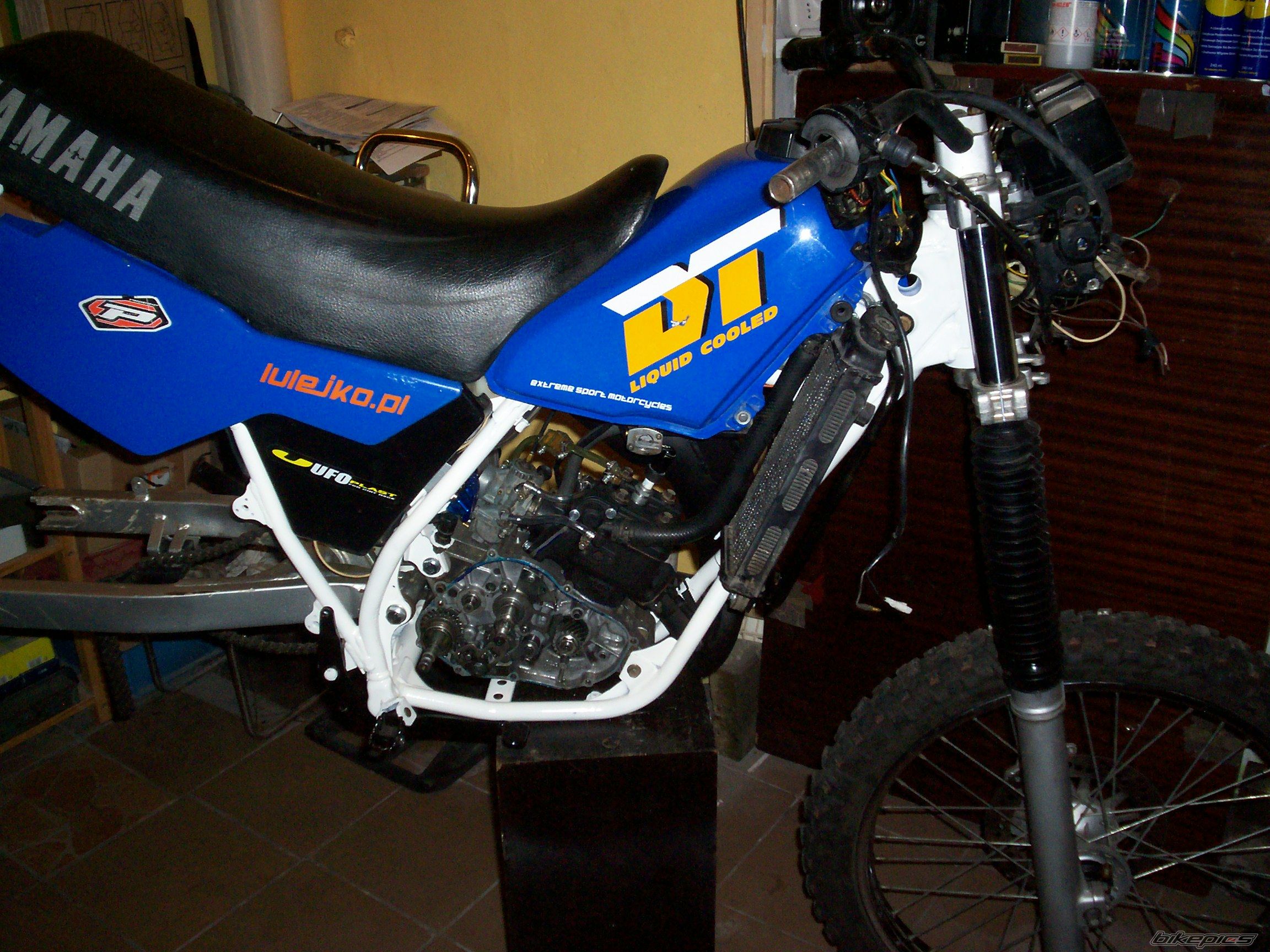 Photo 2616941