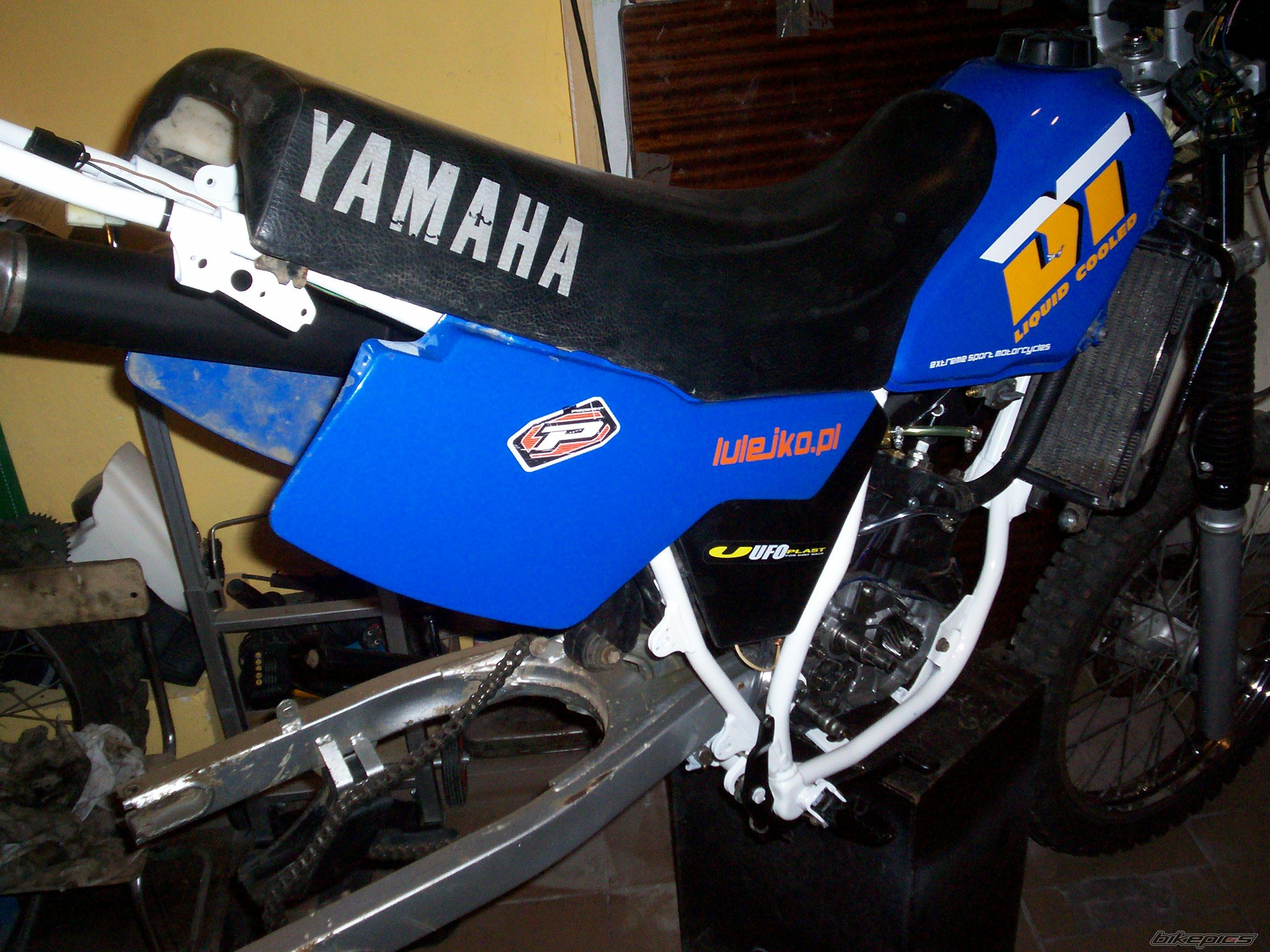 Photo 2616942
