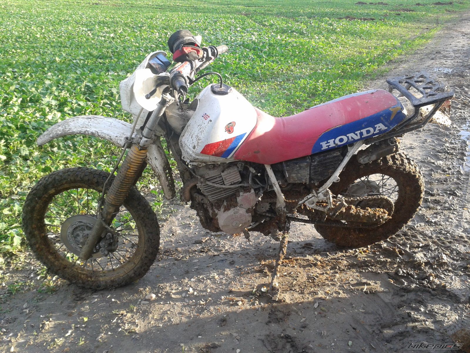 Photo 2616963