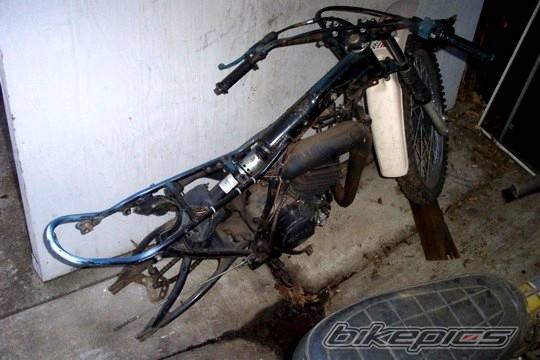 Photo 261718