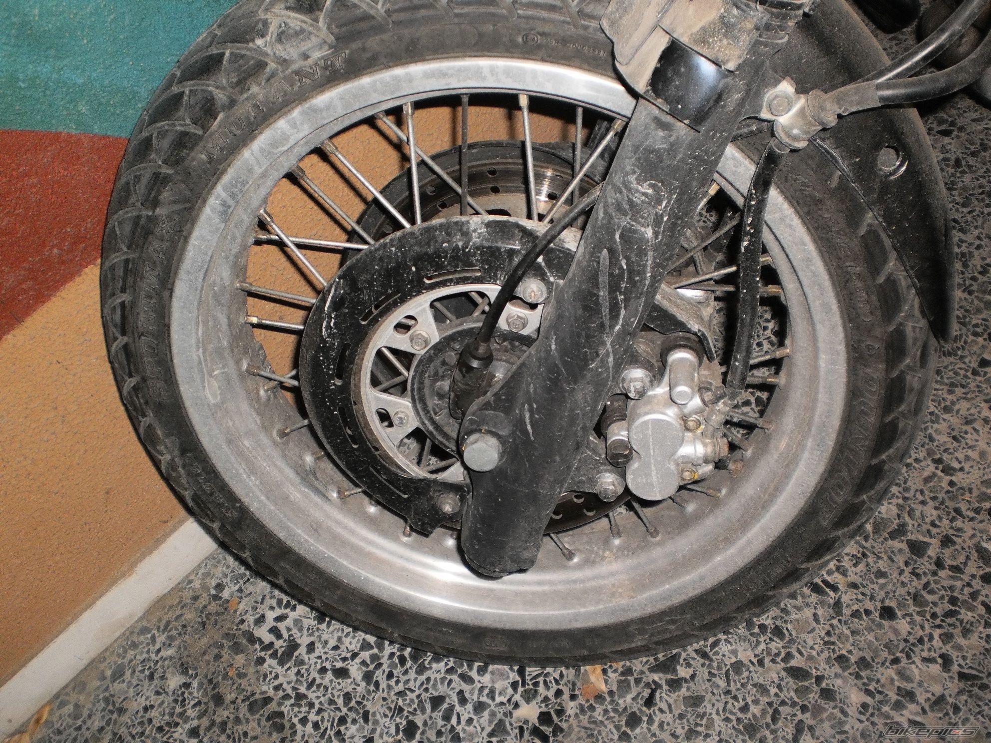 Photo 2617227