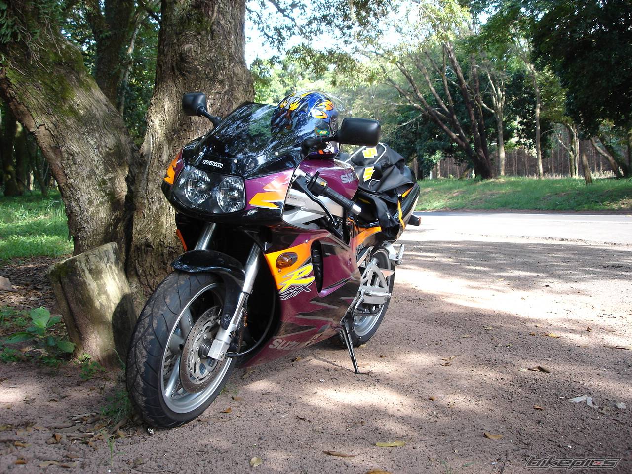 Photo 261724