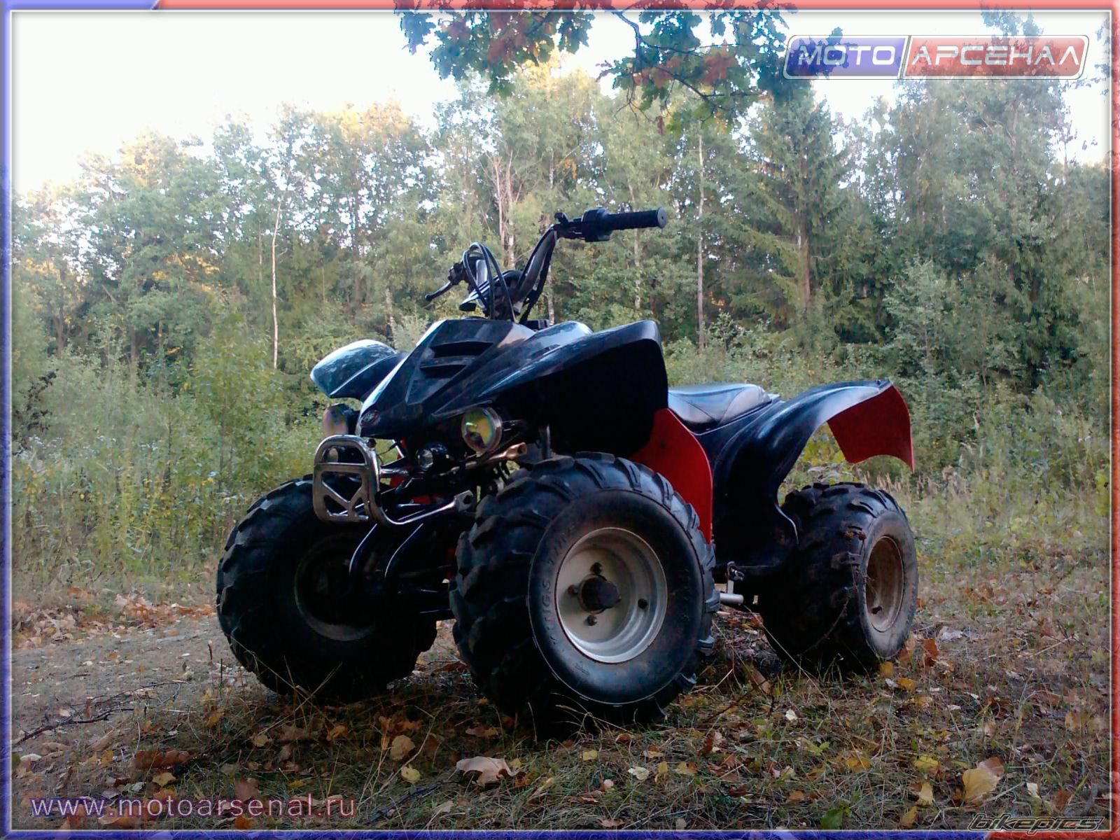 Photo 2617260