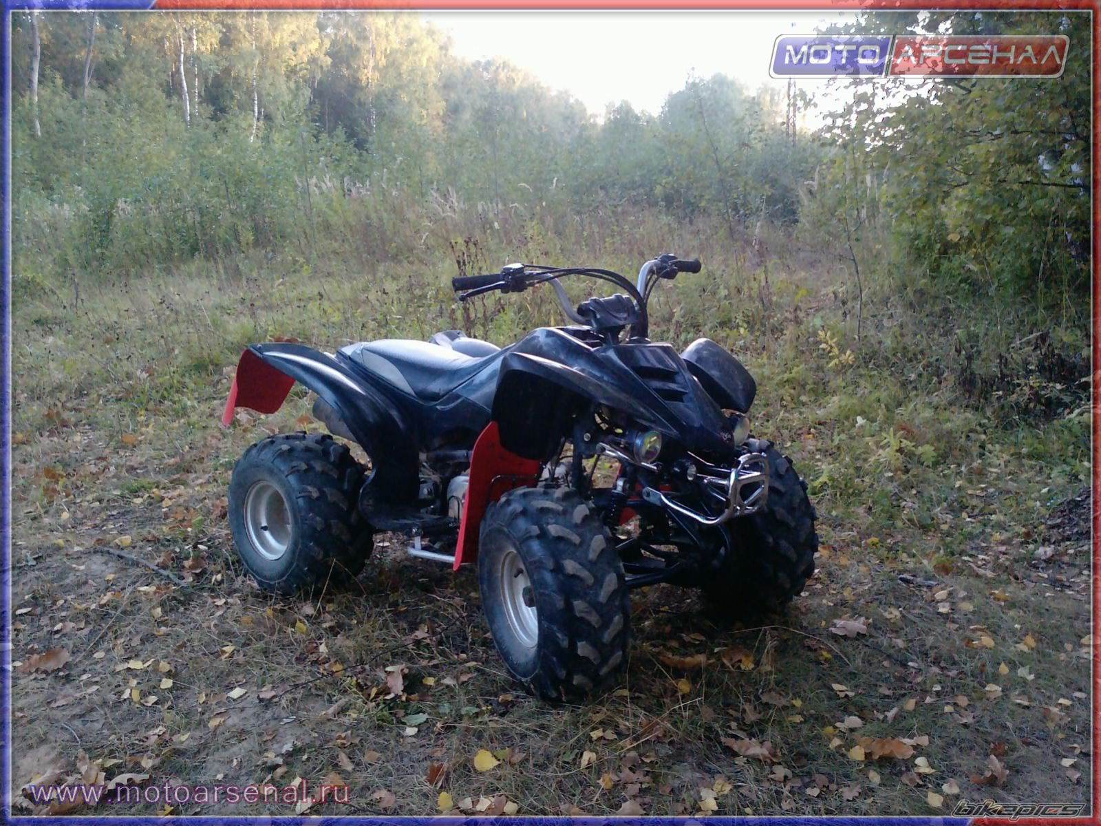 Photo 2617261