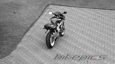 Photo 2617298