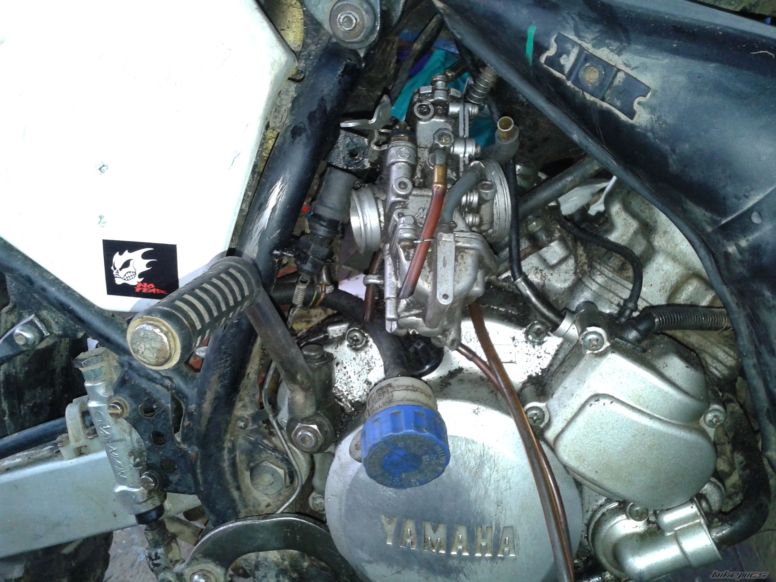 Photo 2617329