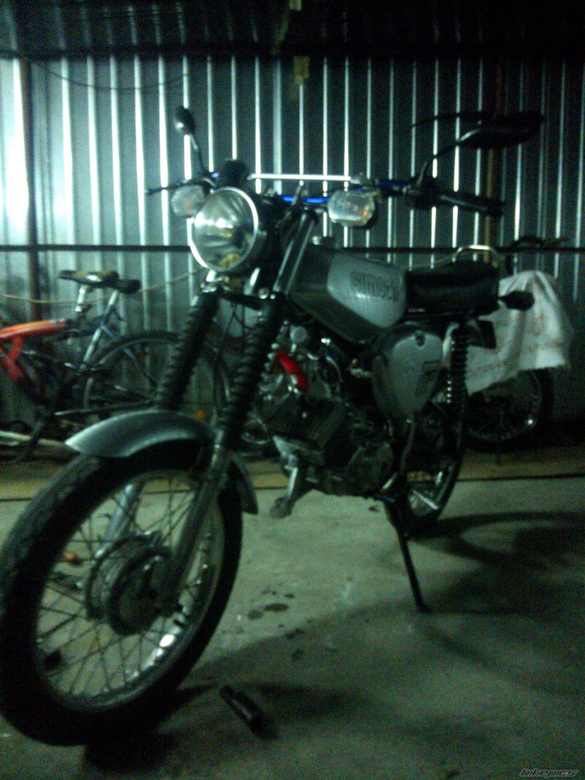 Photo 2617356