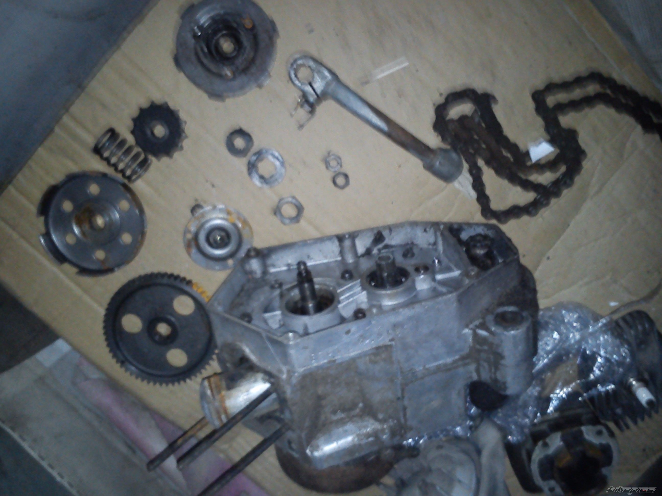 Photo 2617417