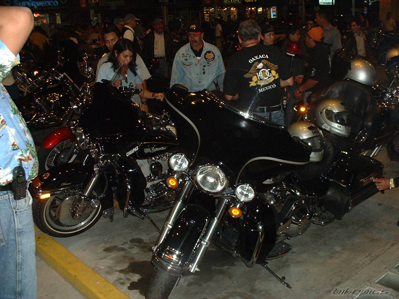 Photo 261742