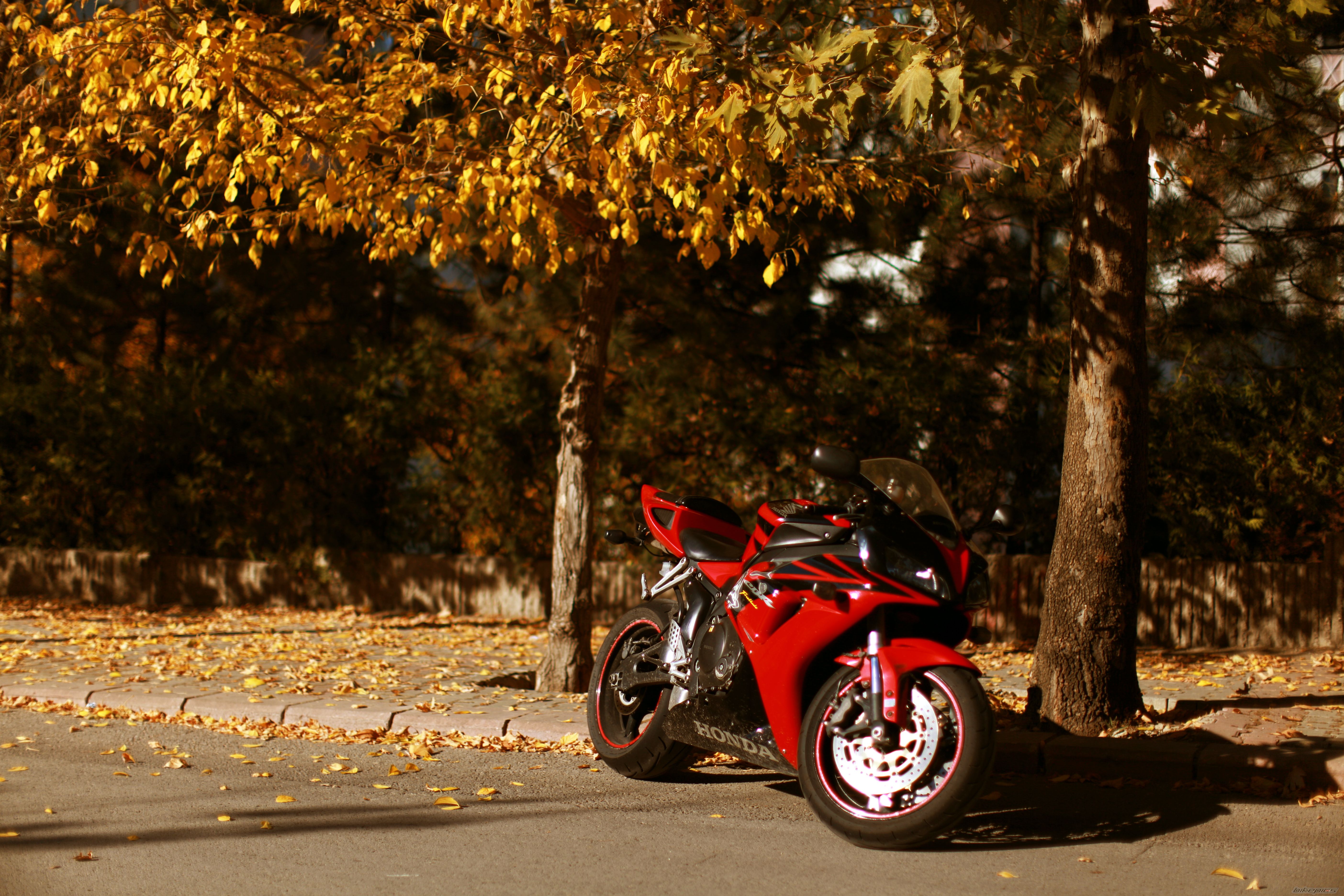 Bike Photo 2617431