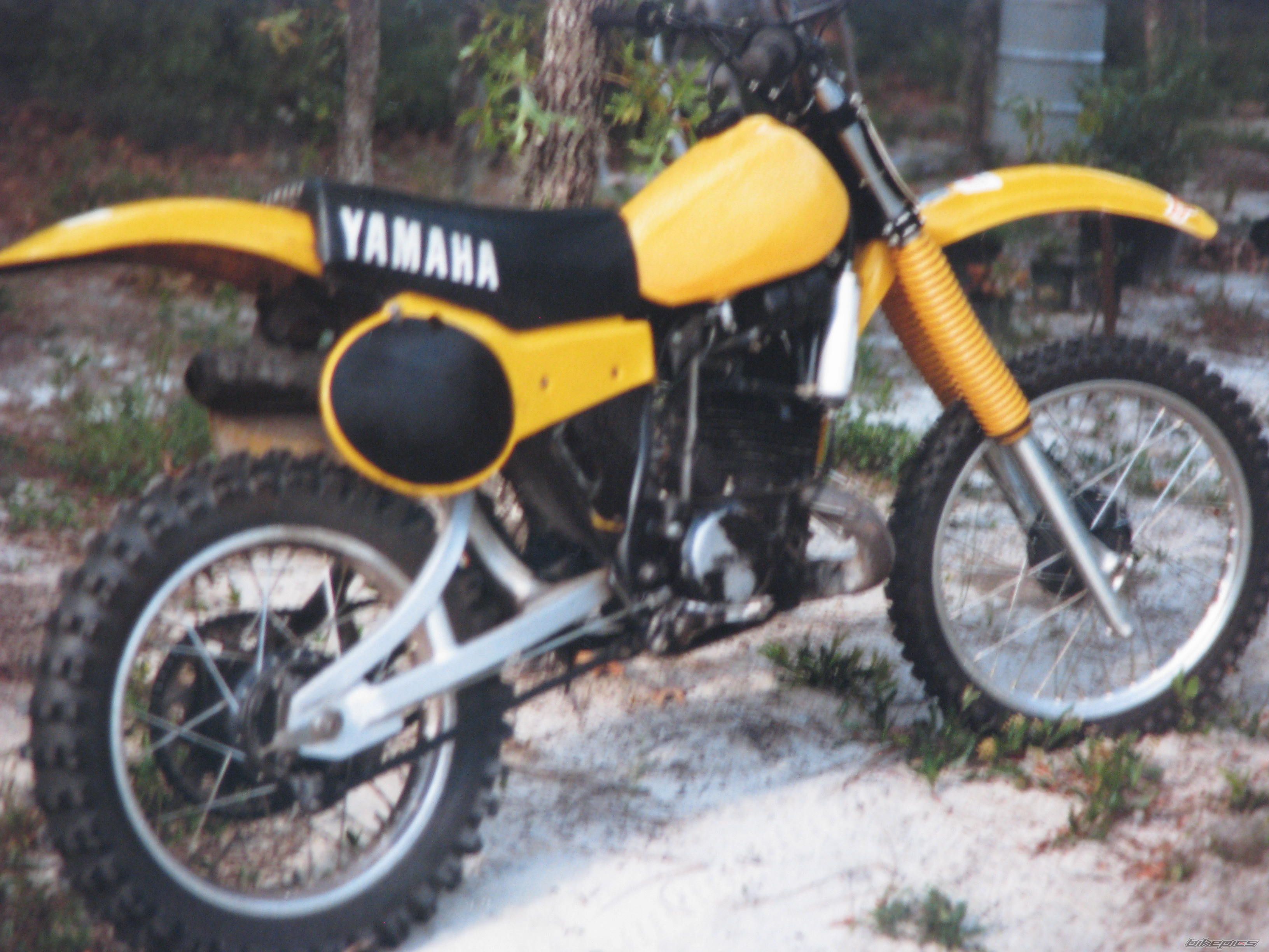 Photo 2617434