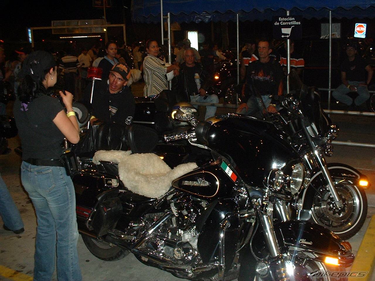 Photo 261745