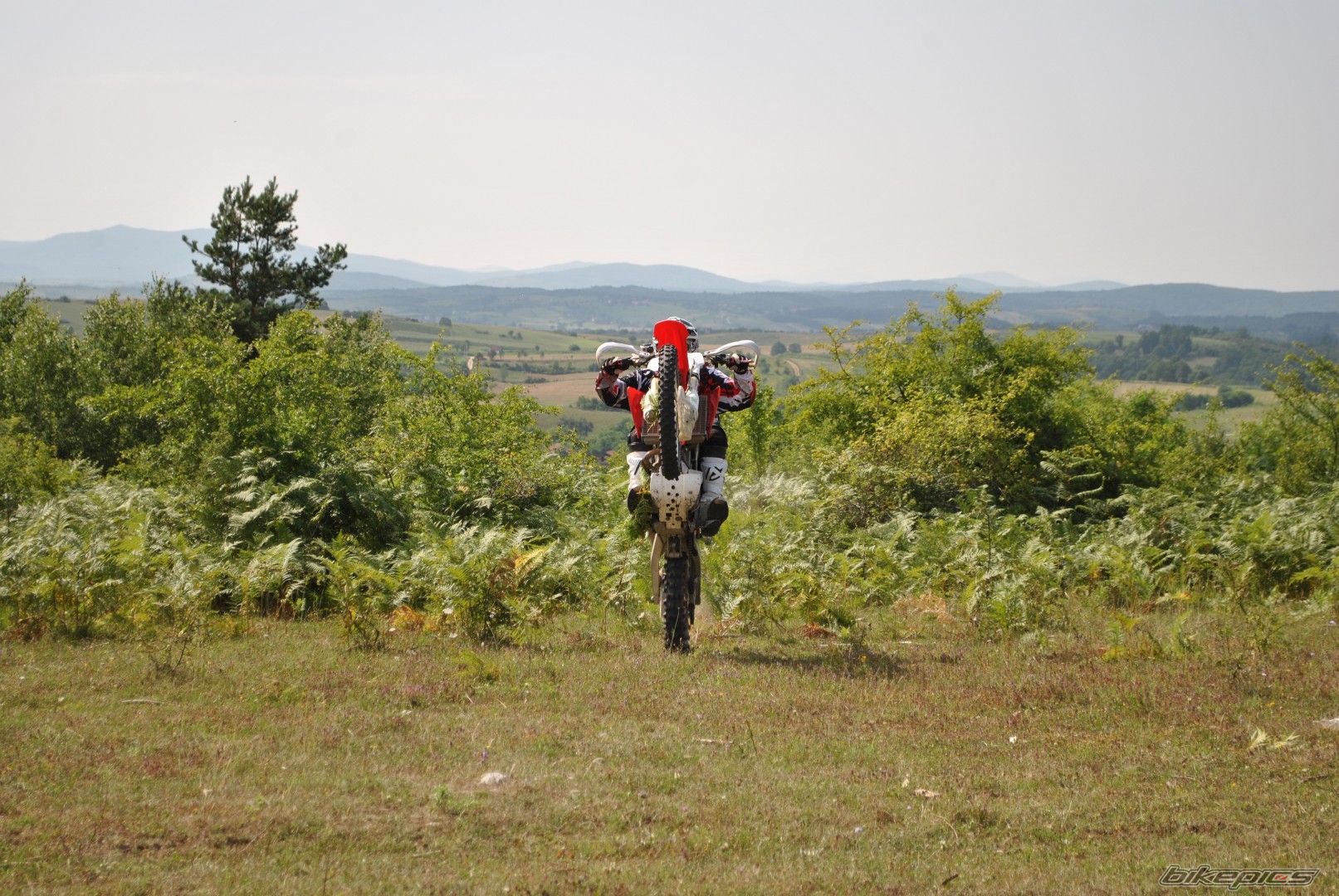 Photo 2617467