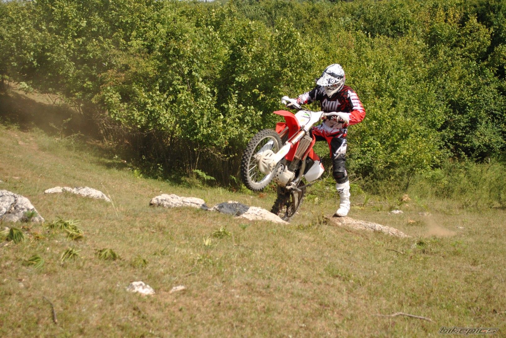 Photo 2617468